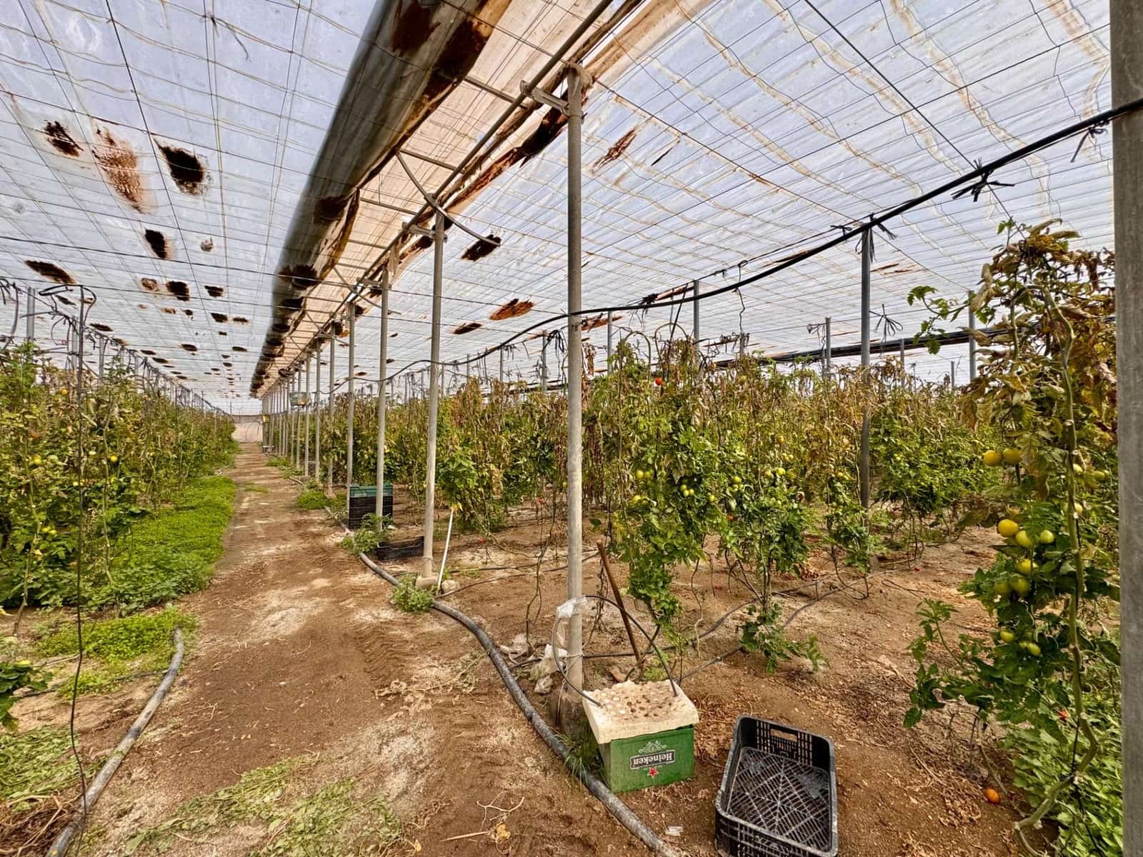 11 soveværelse Finca/Landehus til salg i Almeria by - € 350.000 (Ref: 9343448)