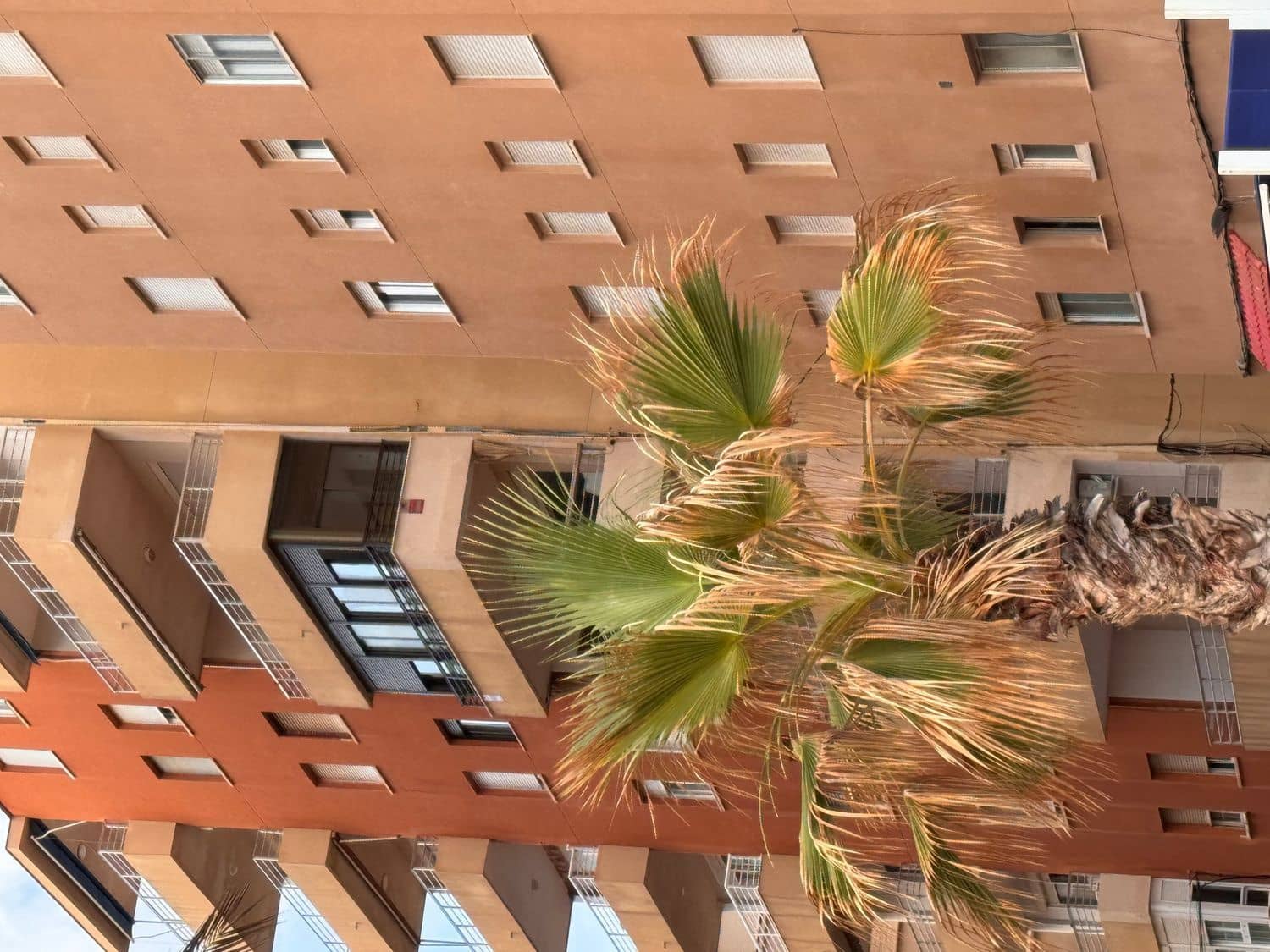 3 chambre Appartement à vendre à Almeria ville - 319 000 € (Ref: 9353763)