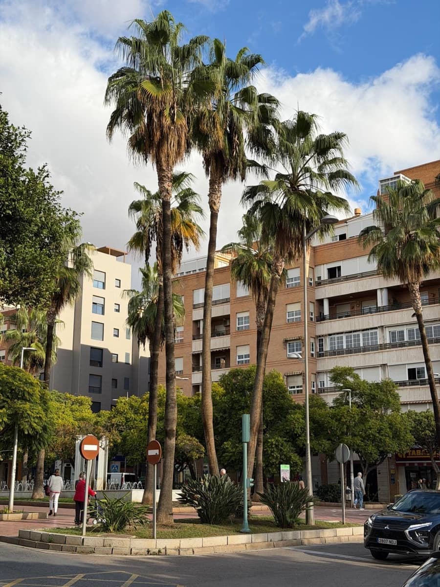 3 bedroom Flat for sale in Almeria city - € 155,000 (Ref: 9398641)