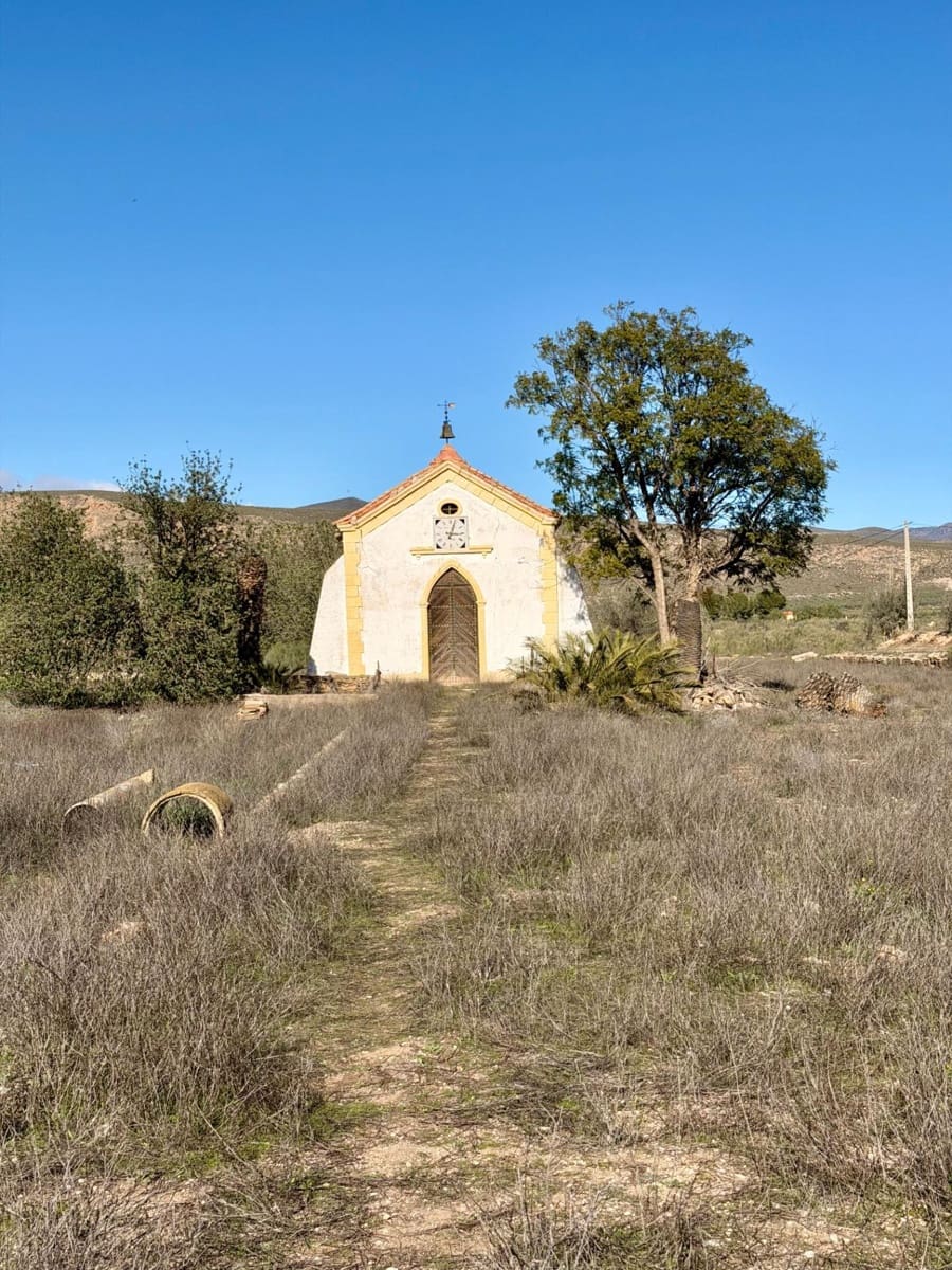 14 camera da letto Finca/Casa di Campagna in vendita in Tabernas con piscina - 1.100.000 € (Rif: 9541587)