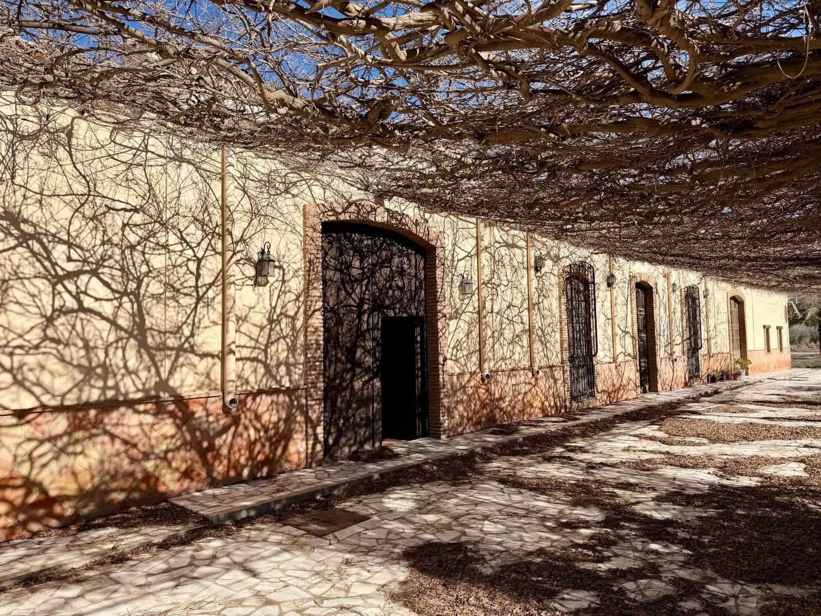 14 camera da letto Finca/Casa di Campagna in vendita in Tabernas con piscina - 1.100.000 € (Rif: 9541587)