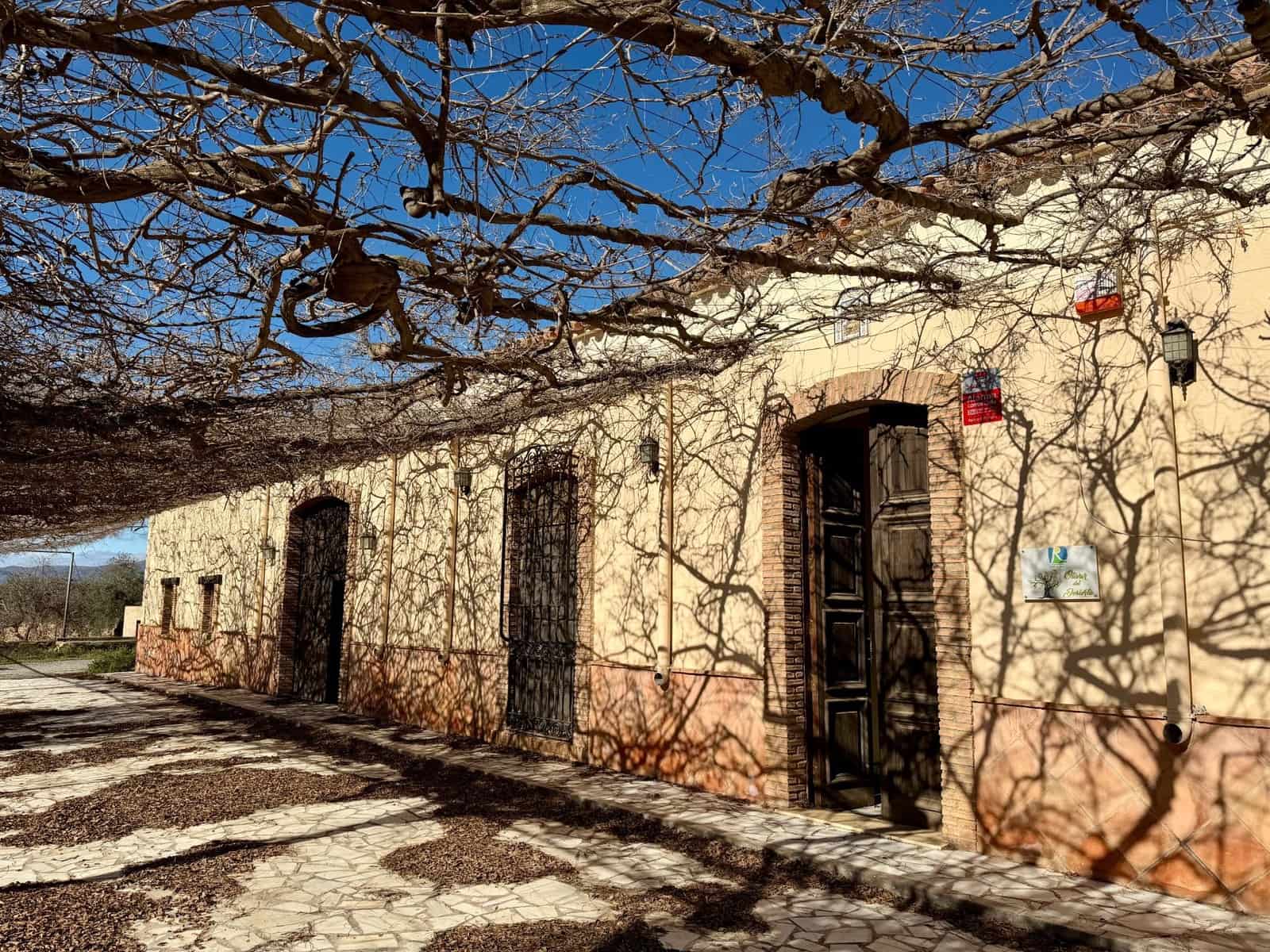 14 camera da letto Finca/Casa di Campagna in vendita in Tabernas con piscina - 1.100.000 € (Rif: 9541587)