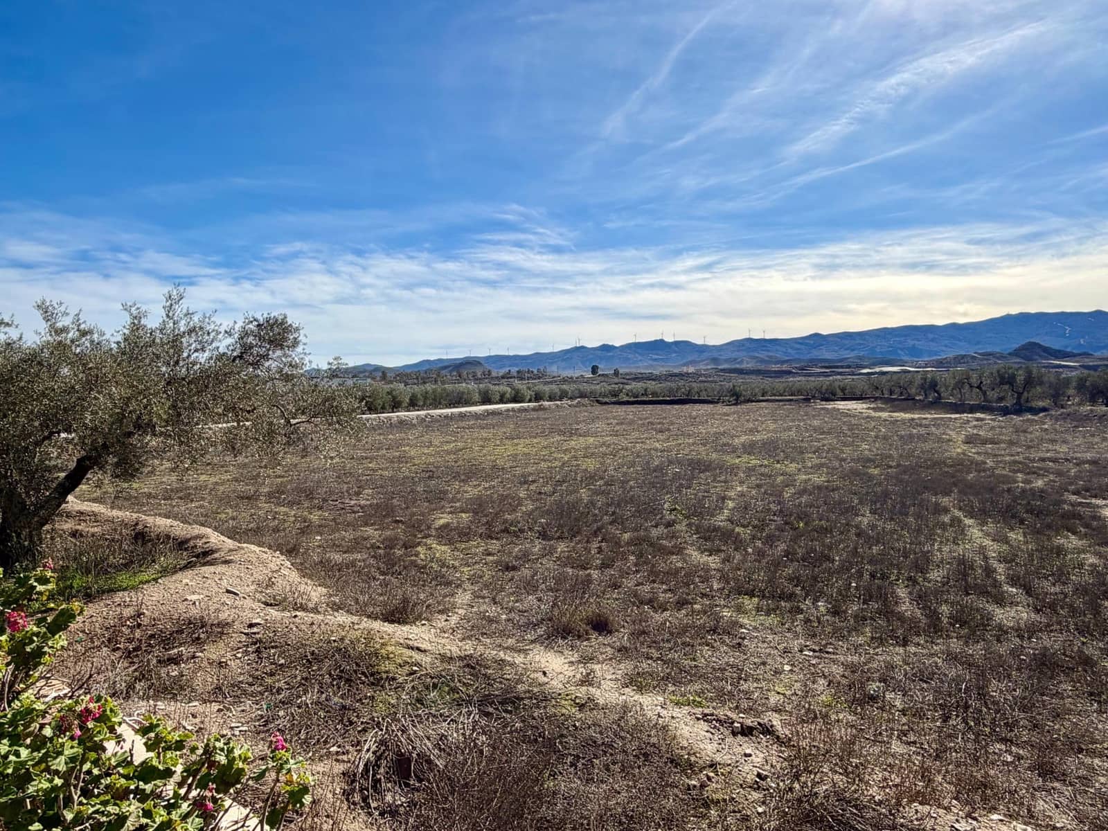 14 camera da letto Finca/Casa di Campagna in vendita in Tabernas con piscina - 1.100.000 € (Rif: 9541587)