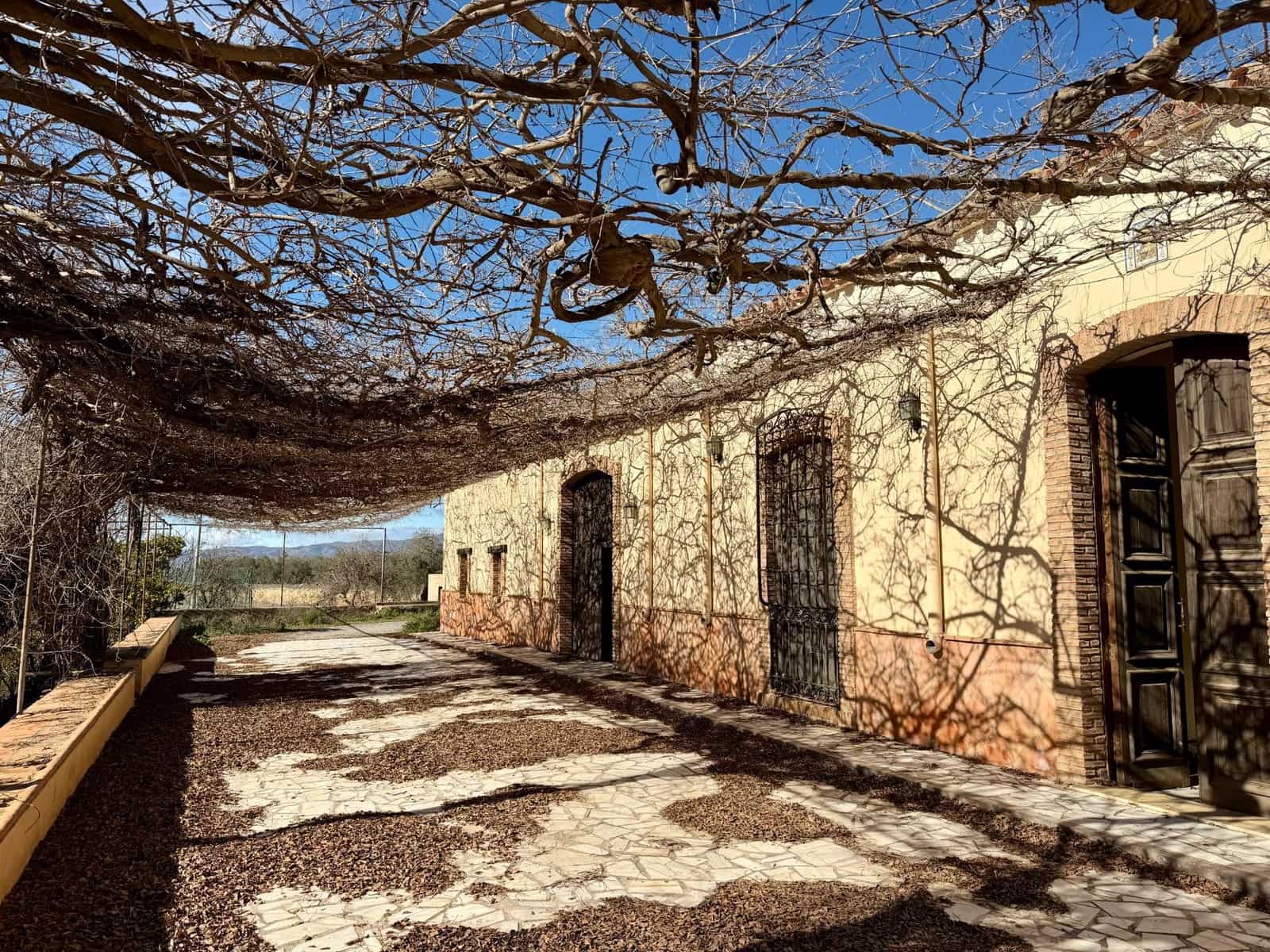 14 camera da letto Finca/Casa di Campagna in vendita in Tabernas con piscina - 1.100.000 € (Rif: 9541587)