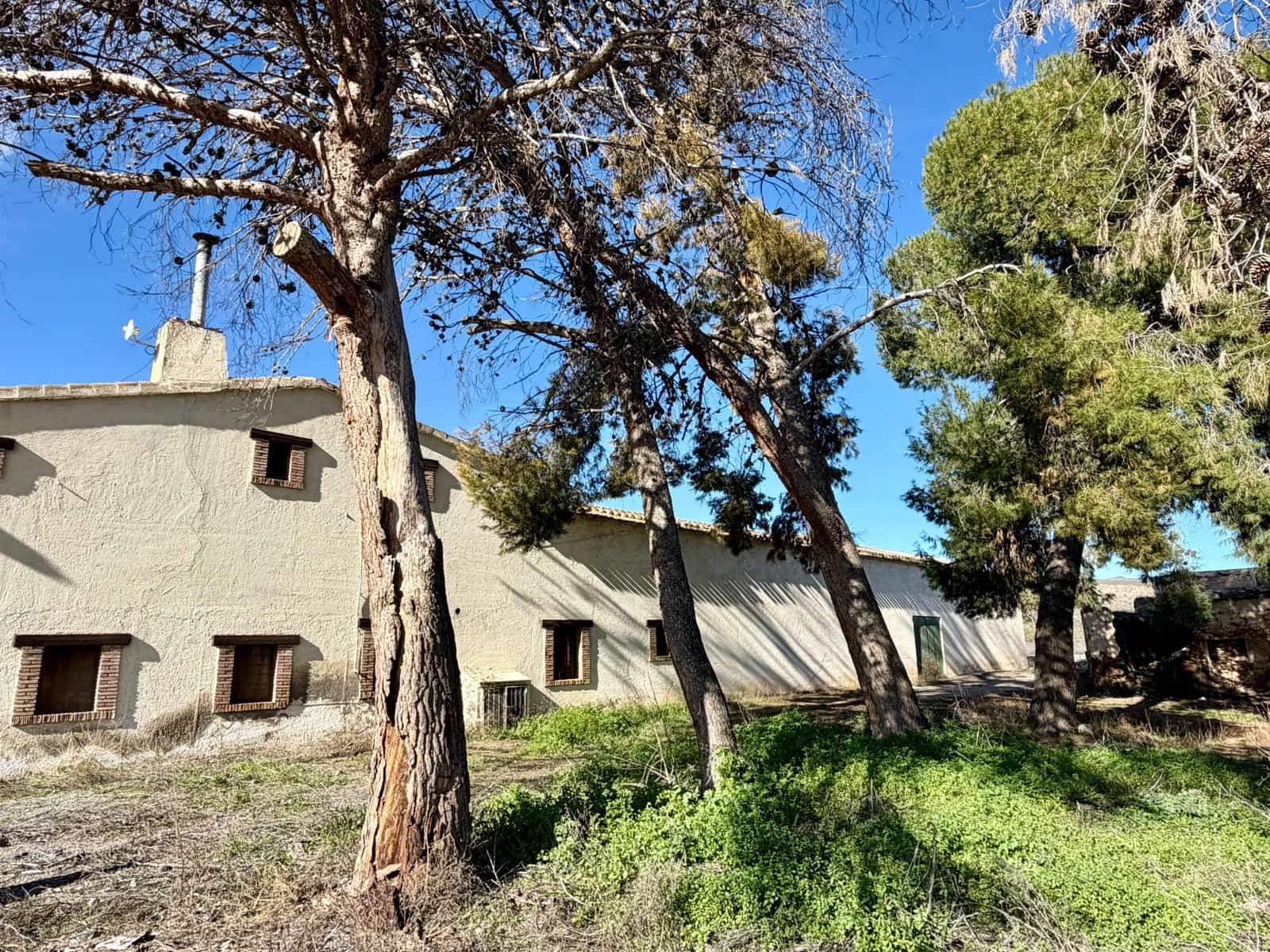 14 camera da letto Finca/Casa di Campagna in vendita in Tabernas con piscina - 1.100.000 € (Rif: 9541587)