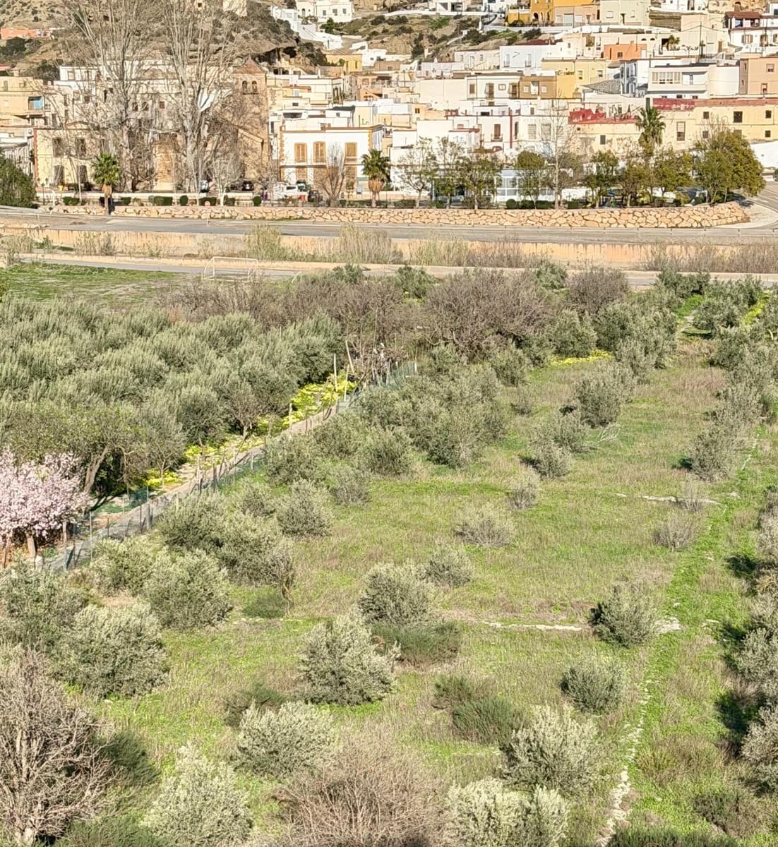 3 makuuhuone Maalaistalo myytävänä paikassa Santa Cruz de Marchena - 179 900 € (Ref: 9616038)