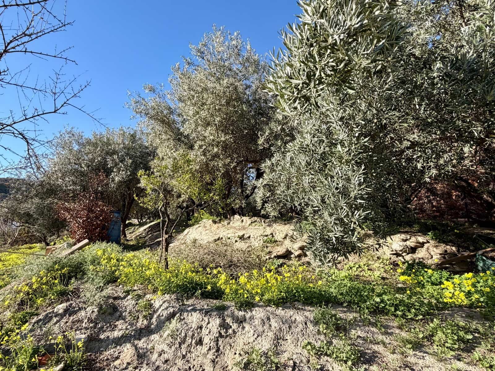 3 makuuhuone Maalaistalo myytävänä paikassa Santa Cruz de Marchena - 179 900 € (Ref: 9616038)