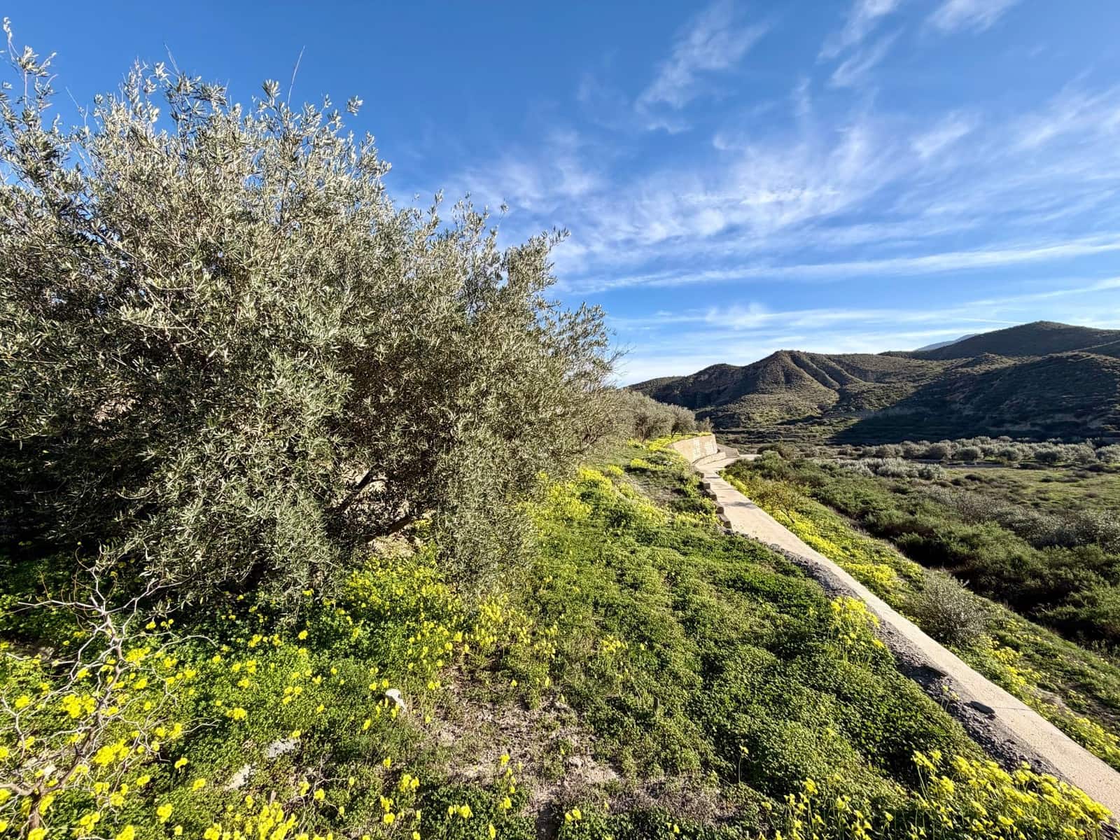 3 makuuhuone Maalaistalo myytävänä paikassa Santa Cruz de Marchena - 179 900 € (Ref: 9616038)