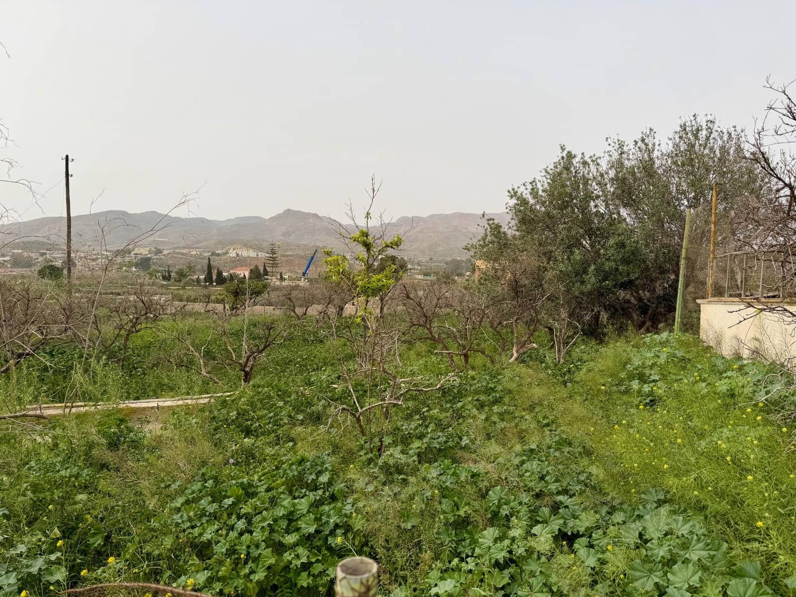 Finca/Country House for sale in Pechina with garage - € 214,000 (Ref: 9656253)