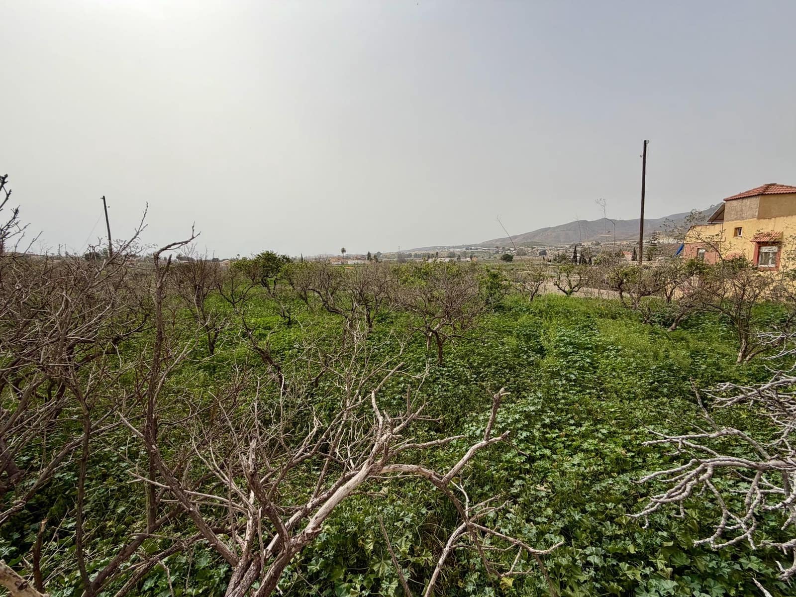 Finca/Country House for sale in Pechina with garage - € 214,000 (Ref: 9656253)