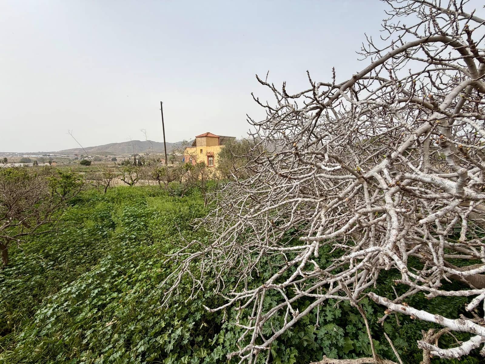 Finca/Country House for sale in Pechina with garage - € 214,000 (Ref: 9656253)