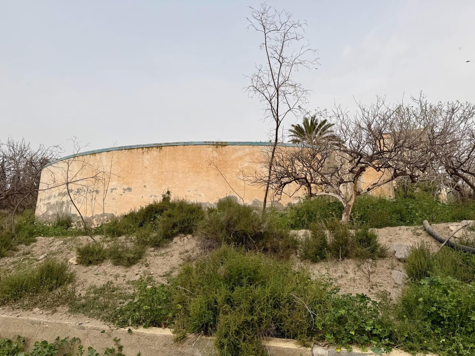 Finca/Country House for sale in Pechina with garage - € 214,000 (Ref: 9656253)