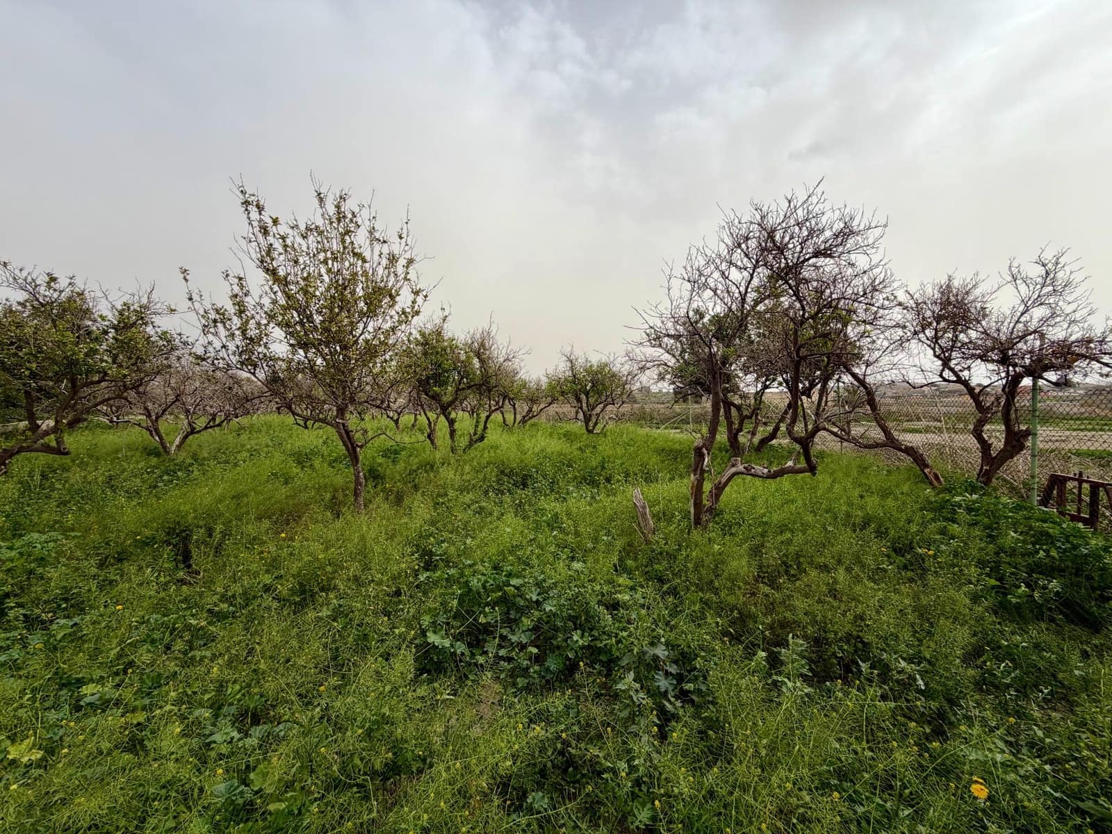 Finca/Country House for sale in Pechina with garage - € 214,000 (Ref: 9656253)