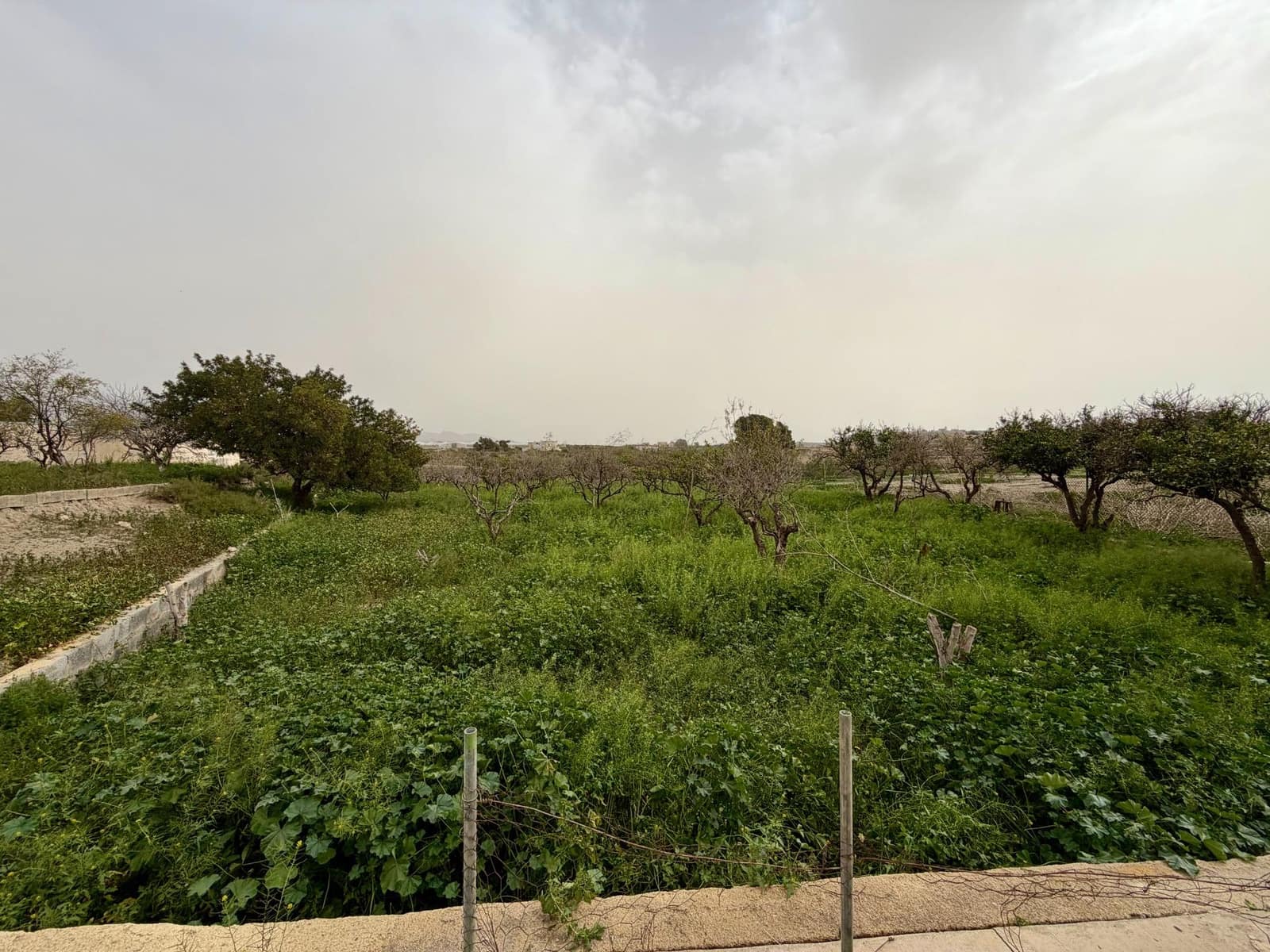 Finca/Country House for sale in Pechina with garage - € 214,000 (Ref: 9656253)