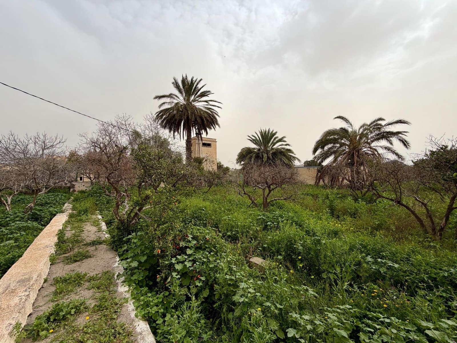 Finca/Country House for sale in Pechina with garage - € 214,000 (Ref: 9656253)