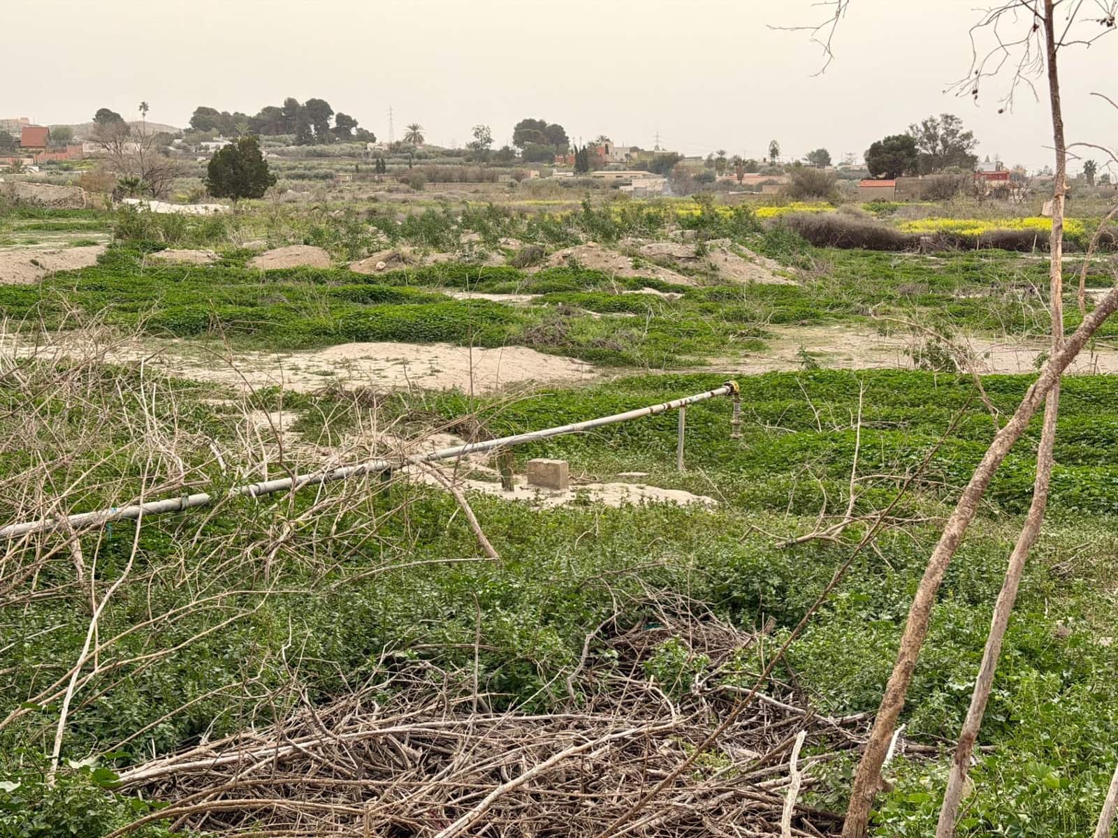 Finca/Country House for sale in Pechina with garage - € 214,000 (Ref: 9656253)