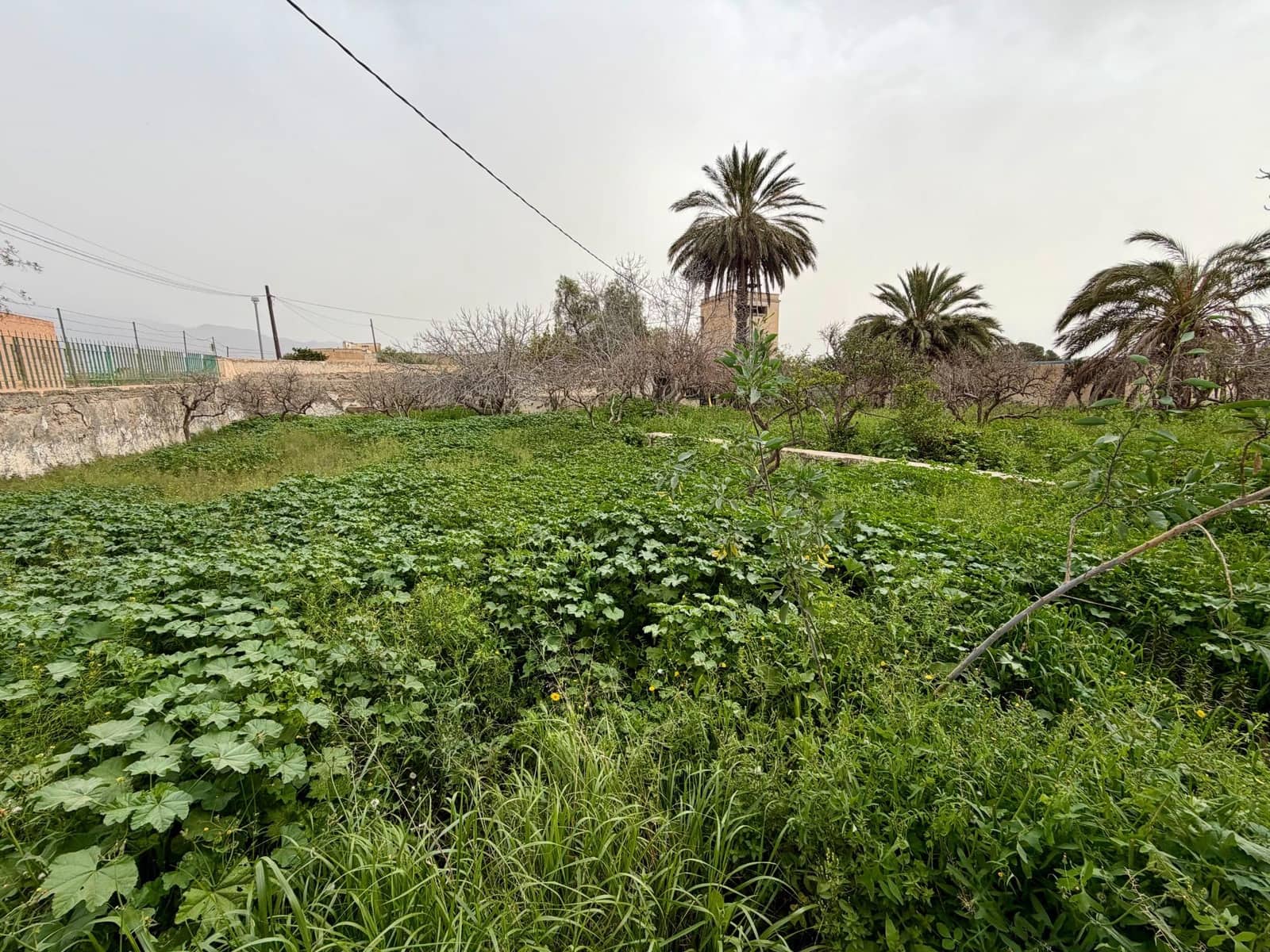 Finca/Country House for sale in Pechina with garage - € 214,000 (Ref: 9656253)