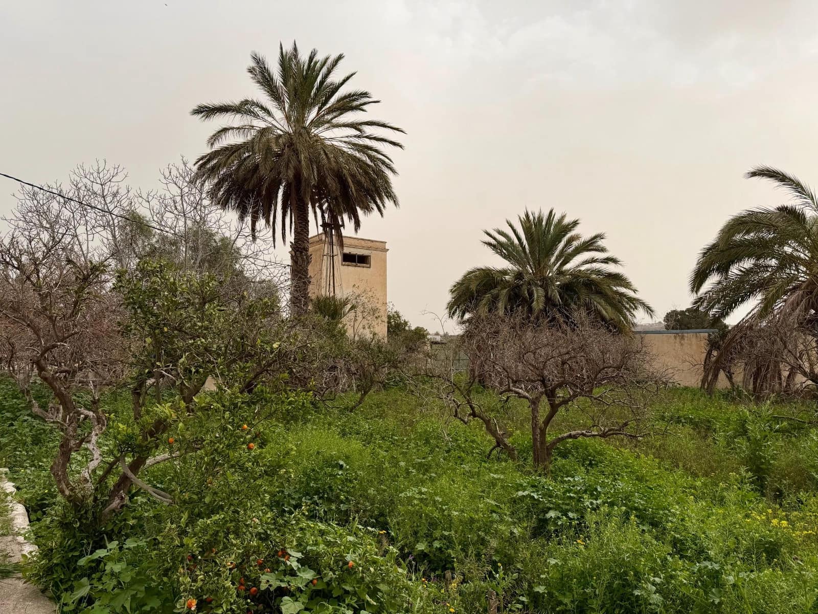 Finca/Country House for sale in Pechina with garage - € 214,000 (Ref: 9656253)