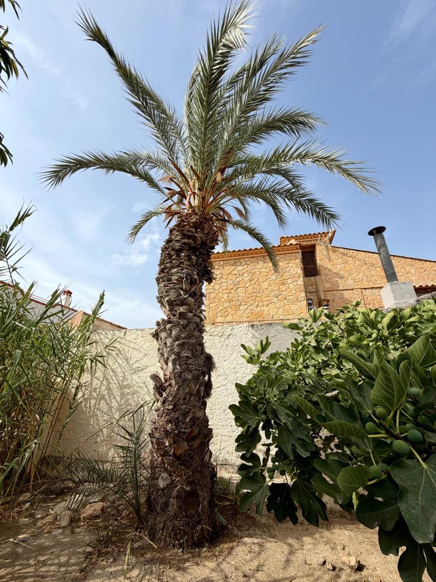 8 bedroom Villa for sale in Vera - € 399,900 (Ref: 9977436)
