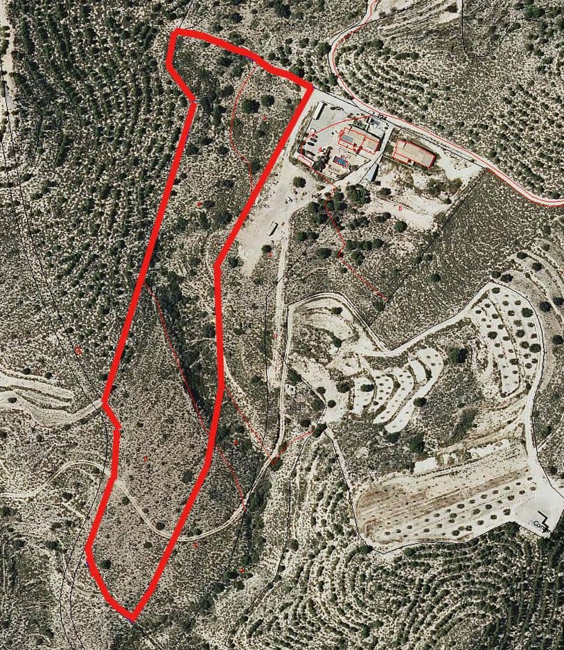 Ubebygd land til salgs i Busot - € 74 000 (Ref: 8990138)