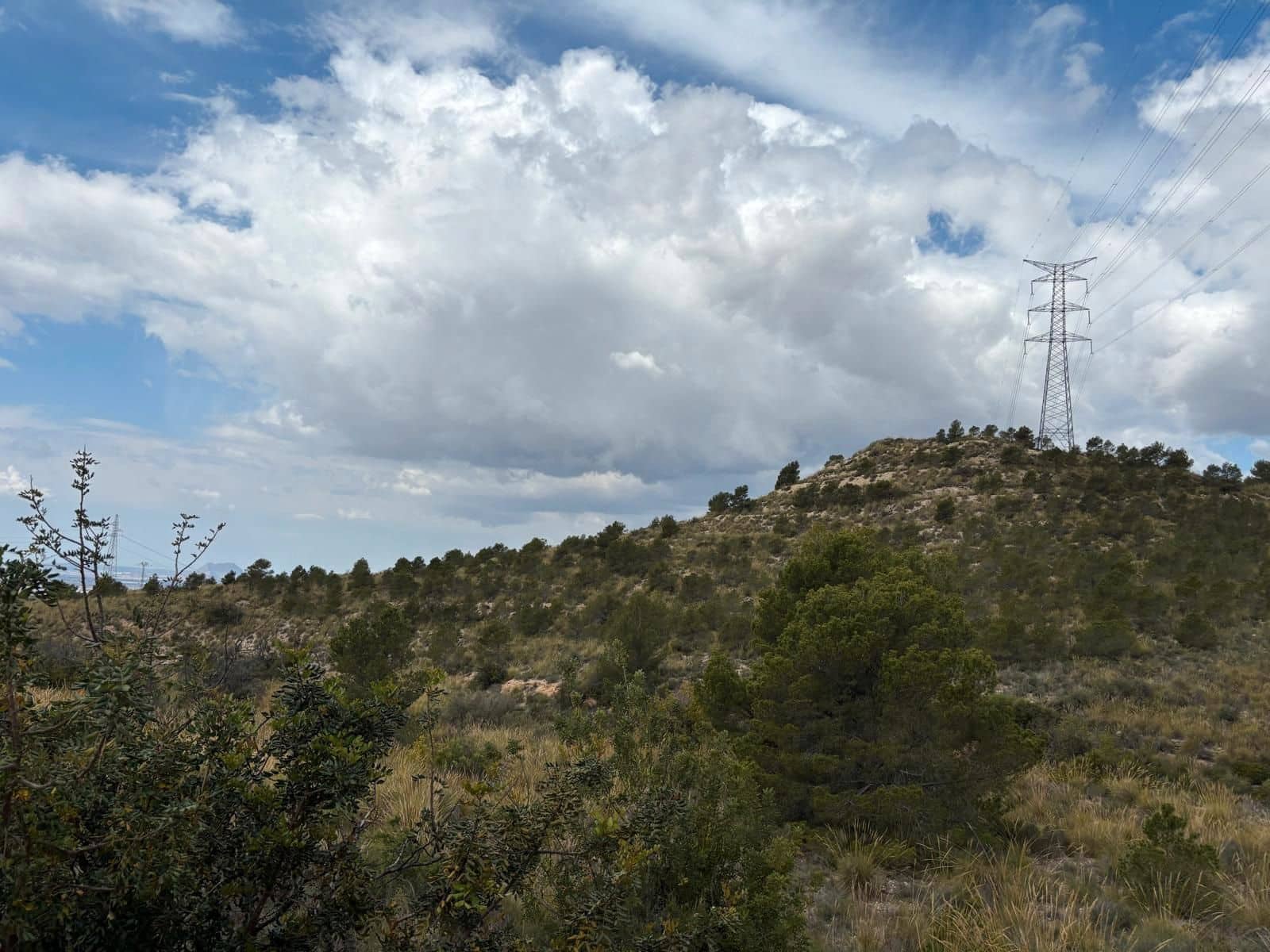 Ubebygd land til salgs i Busot - € 74 000 (Ref: 8990138)