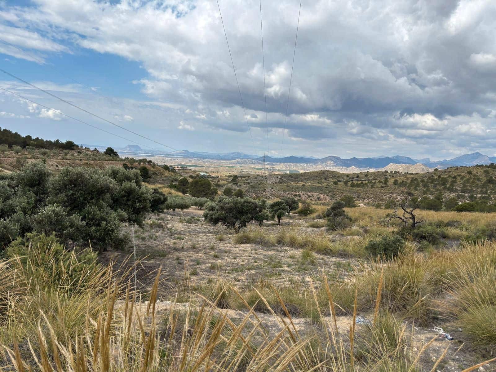 Ubebygd land til salgs i Busot - € 74 000 (Ref: 8990138)