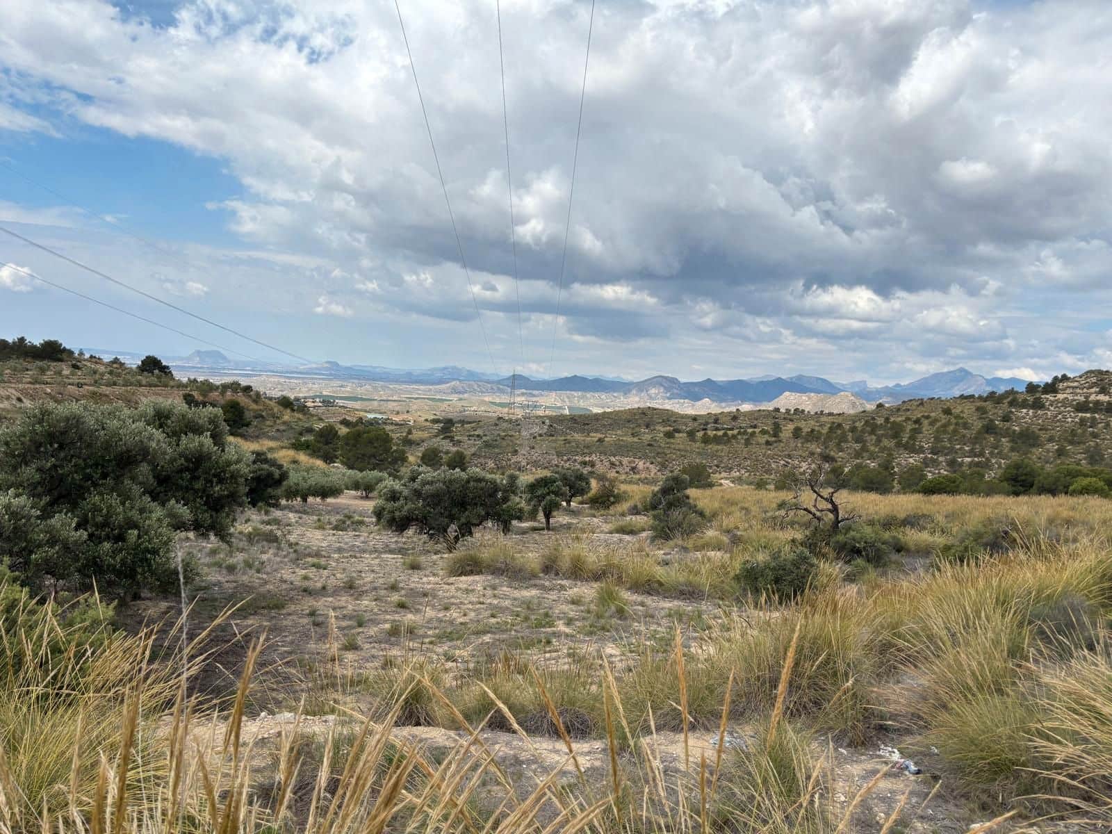 Ubebygd land til salgs i Busot - € 74 000 (Ref: 8990138)