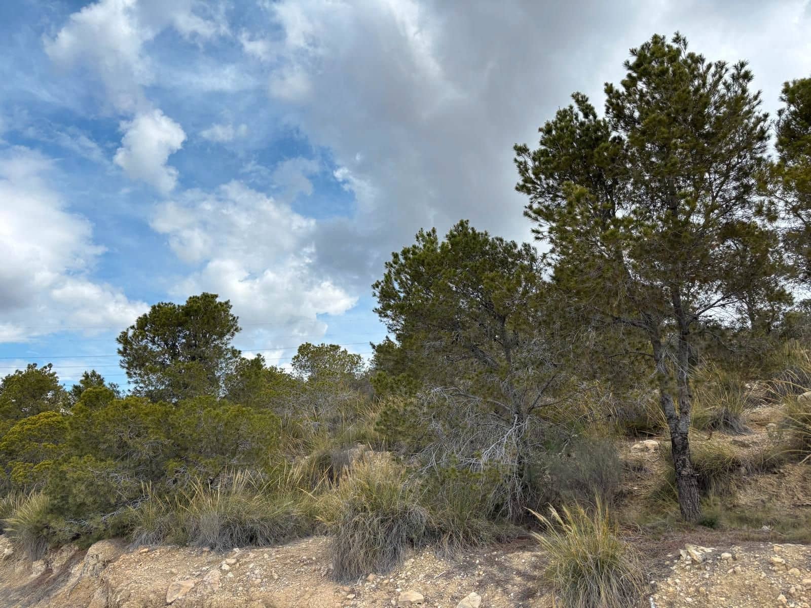 Ubebygd land til salgs i Busot - € 74 000 (Ref: 8990138)