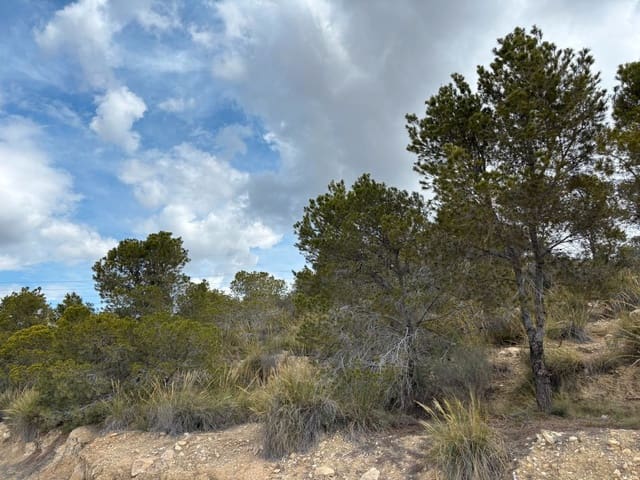 Grond te koop in Busot - € 74.000 (Ref: 8990138)