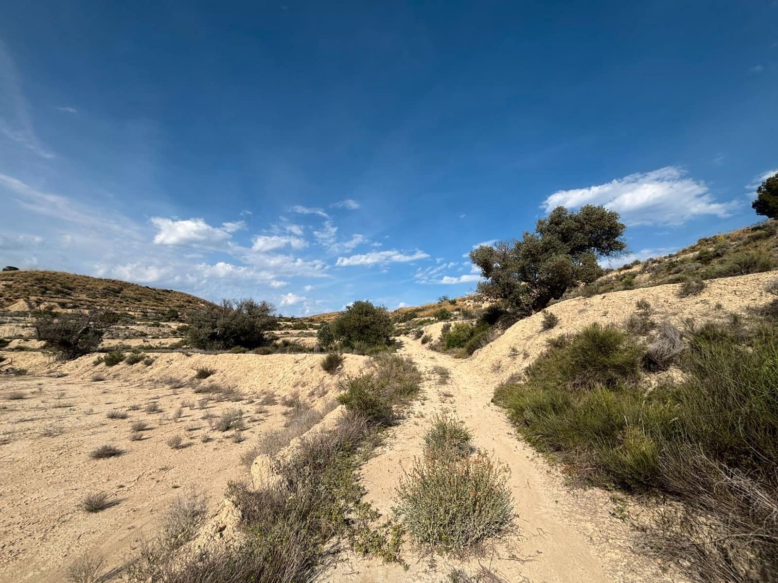 Ubebygd land til salgs i Busot - € 51 000 (Ref: 9031095)