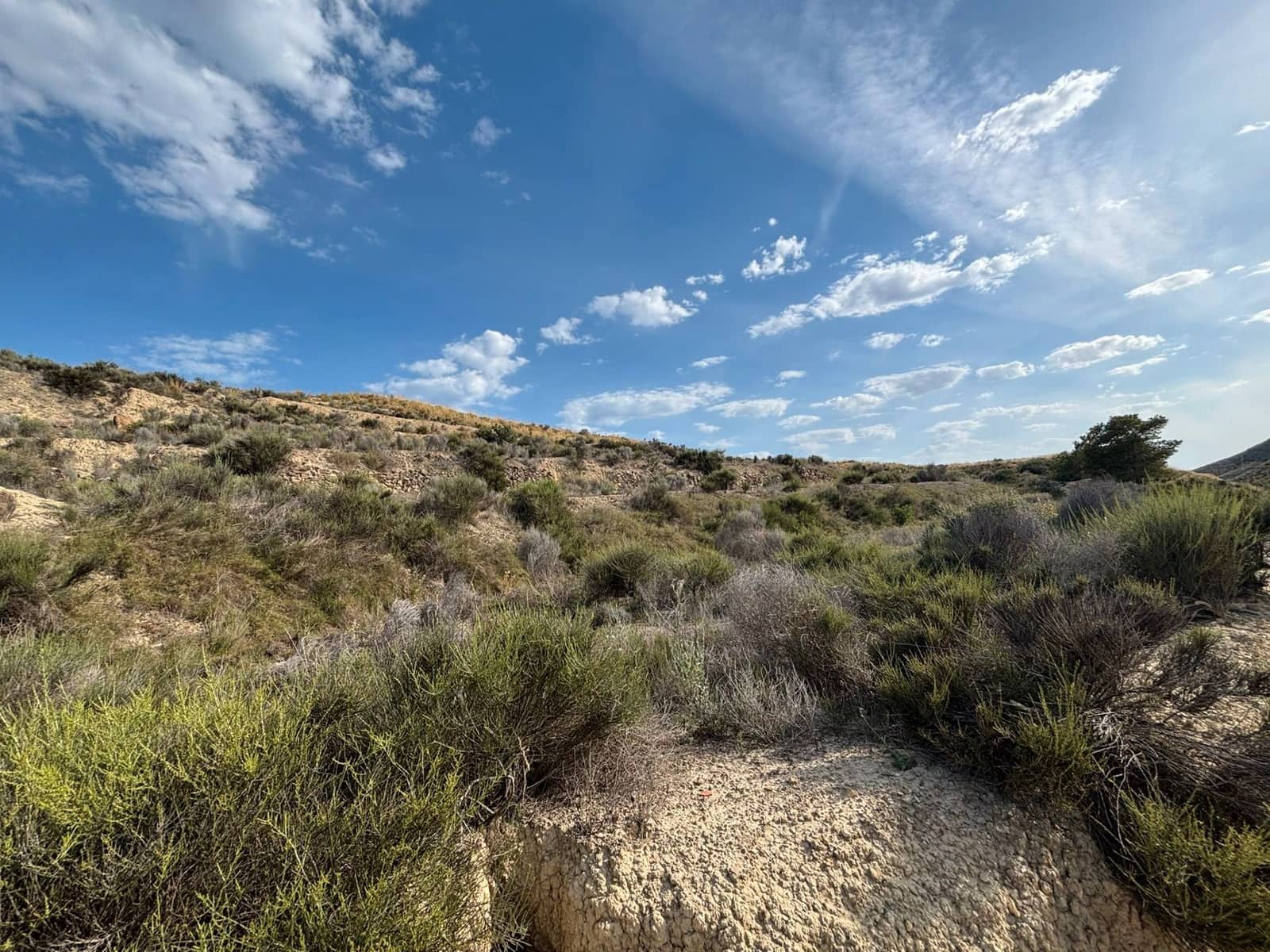 Ubebygd land til salgs i Busot - € 51 000 (Ref: 9031095)