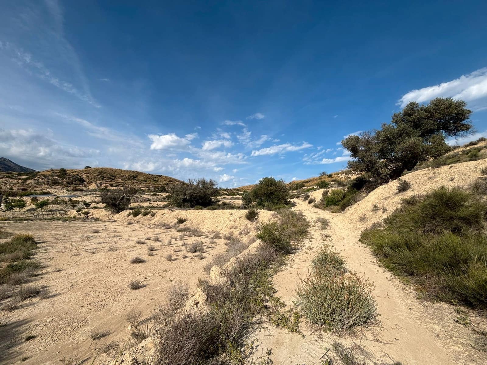 Ubebygd land til salgs i Busot - € 51 000 (Ref: 9031095)