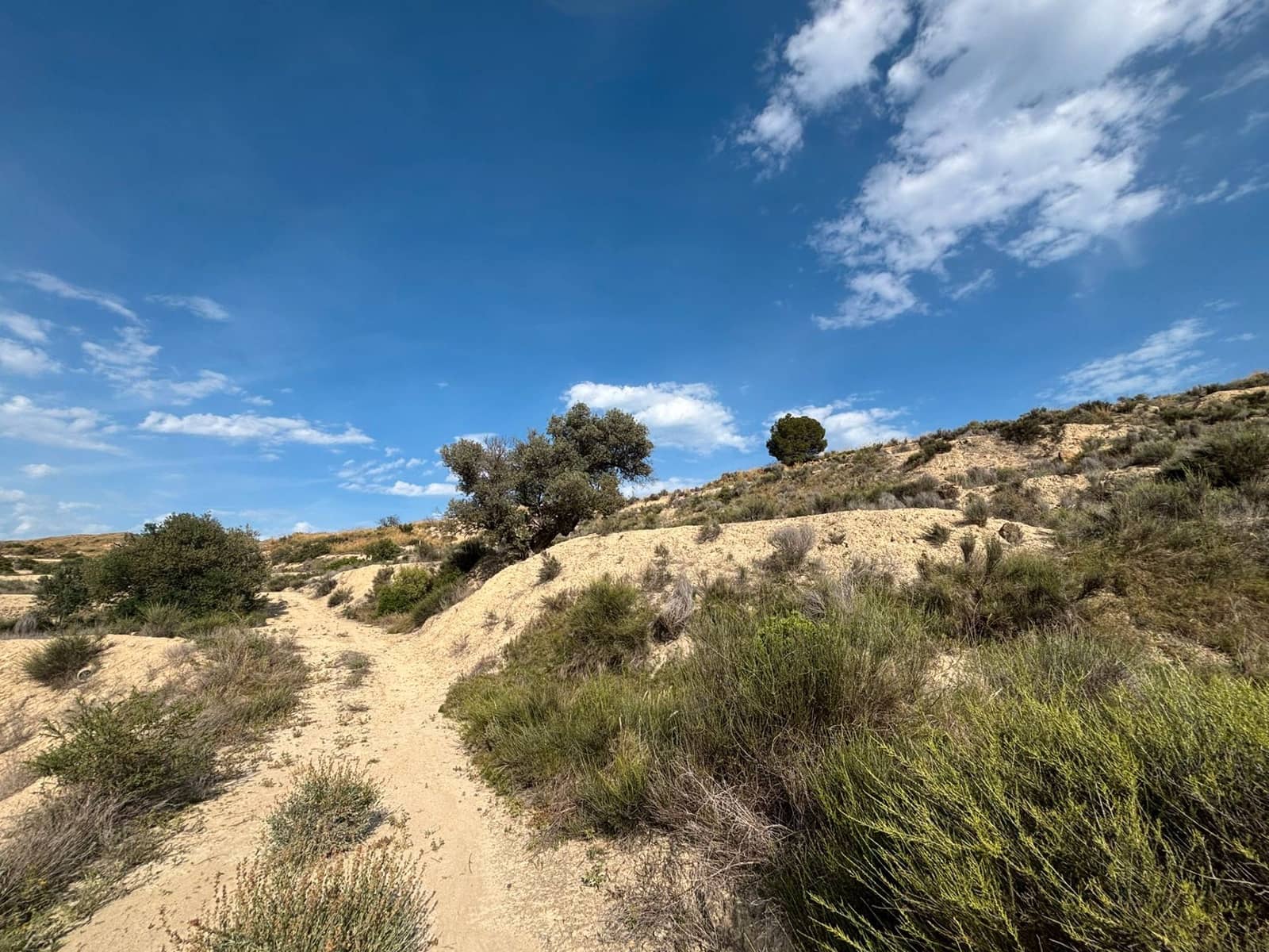 Ubebygd land til salgs i Busot - € 51 000 (Ref: 9031095)