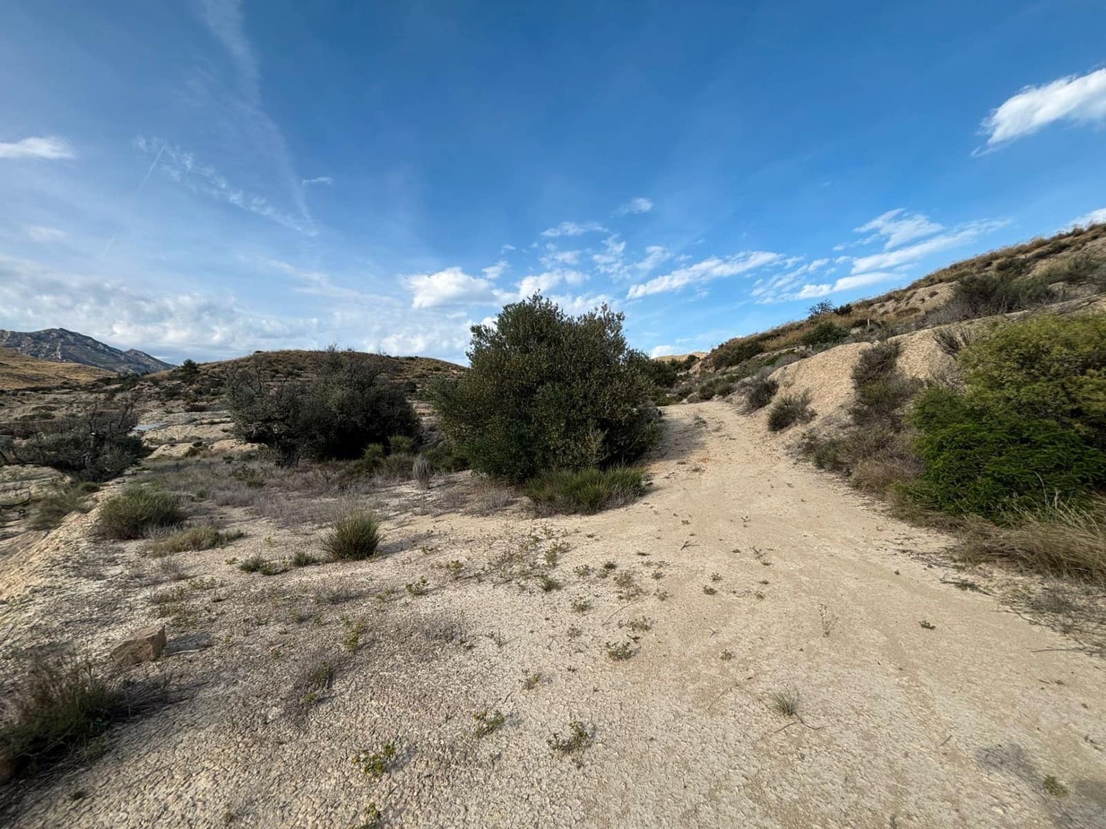 Ubebygd land til salgs i Busot - € 51 000 (Ref: 9031095)