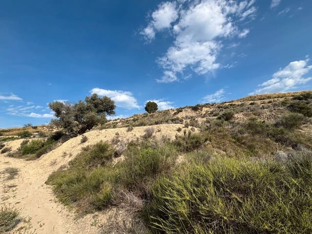 Grond te koop in Busot - € 51.000 (Ref: 9031095)