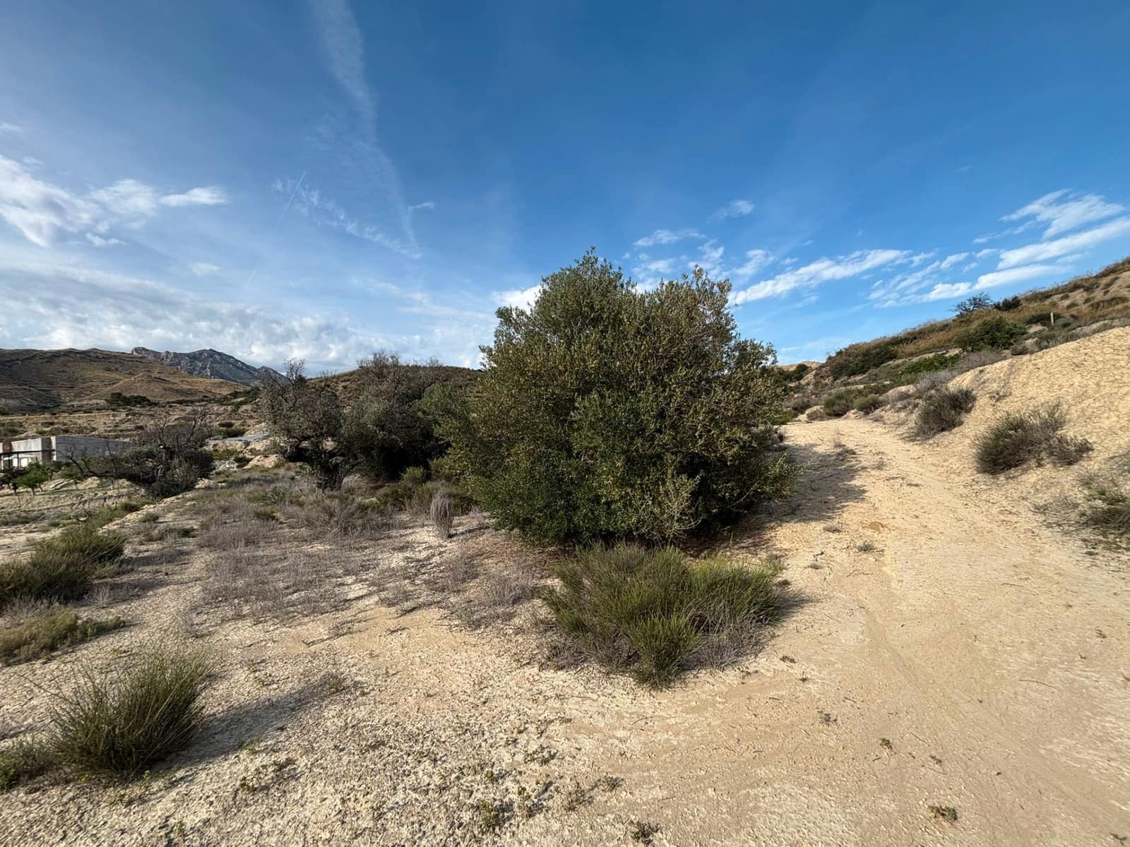 Ubebygd land til salgs i Busot - € 51 000 (Ref: 9031095)