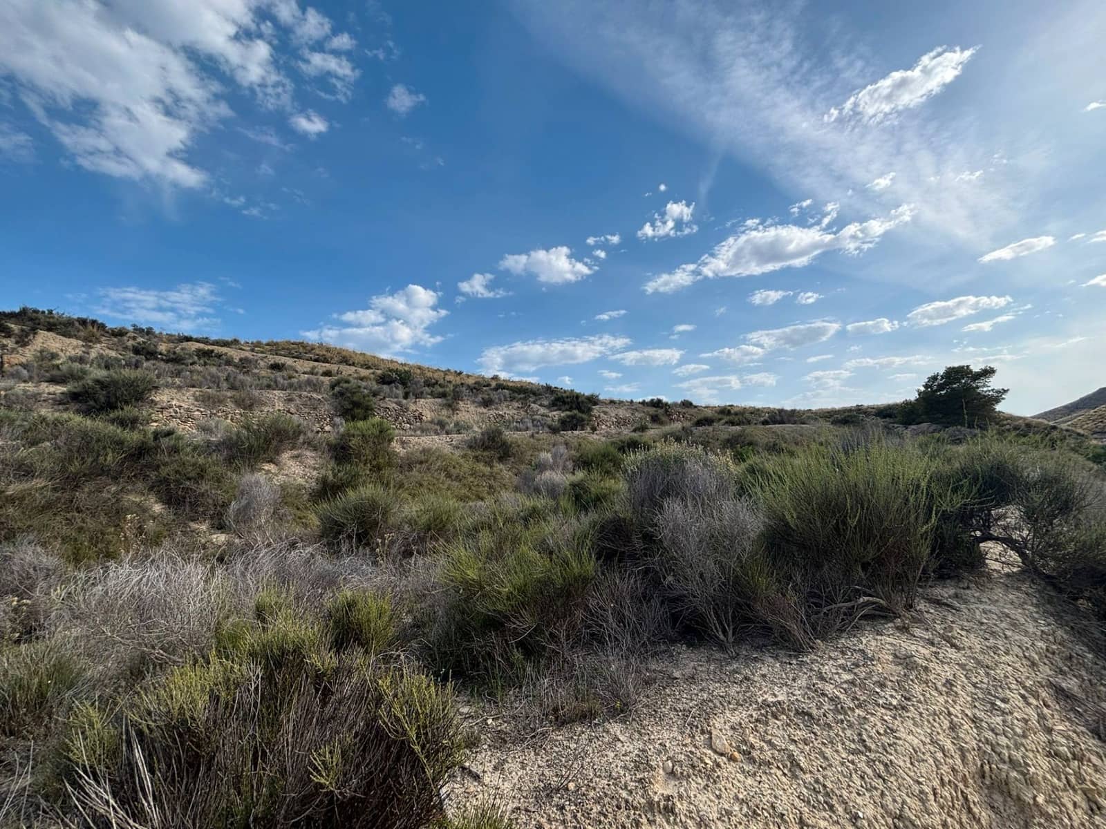 Ubebygd land til salgs i Busot - € 51 000 (Ref: 9031095)