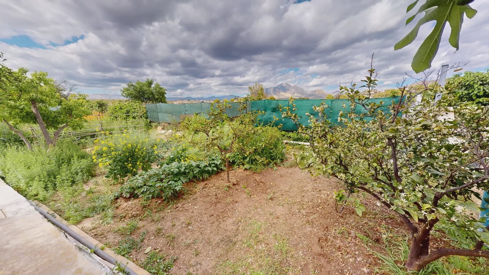 11 sovrum Villa till salu i Busot med pool garage - 527 500 € (Ref: 9787826)