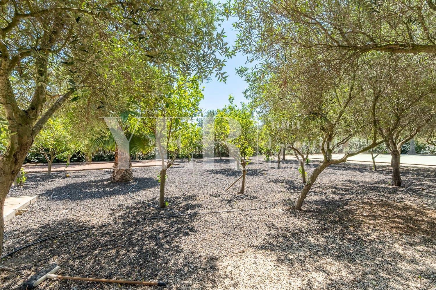 4 soverom Finca/Herregård til salgs i Daya Vieja med svømmebasseng garasje - € 495 000 (Ref: 8799509)