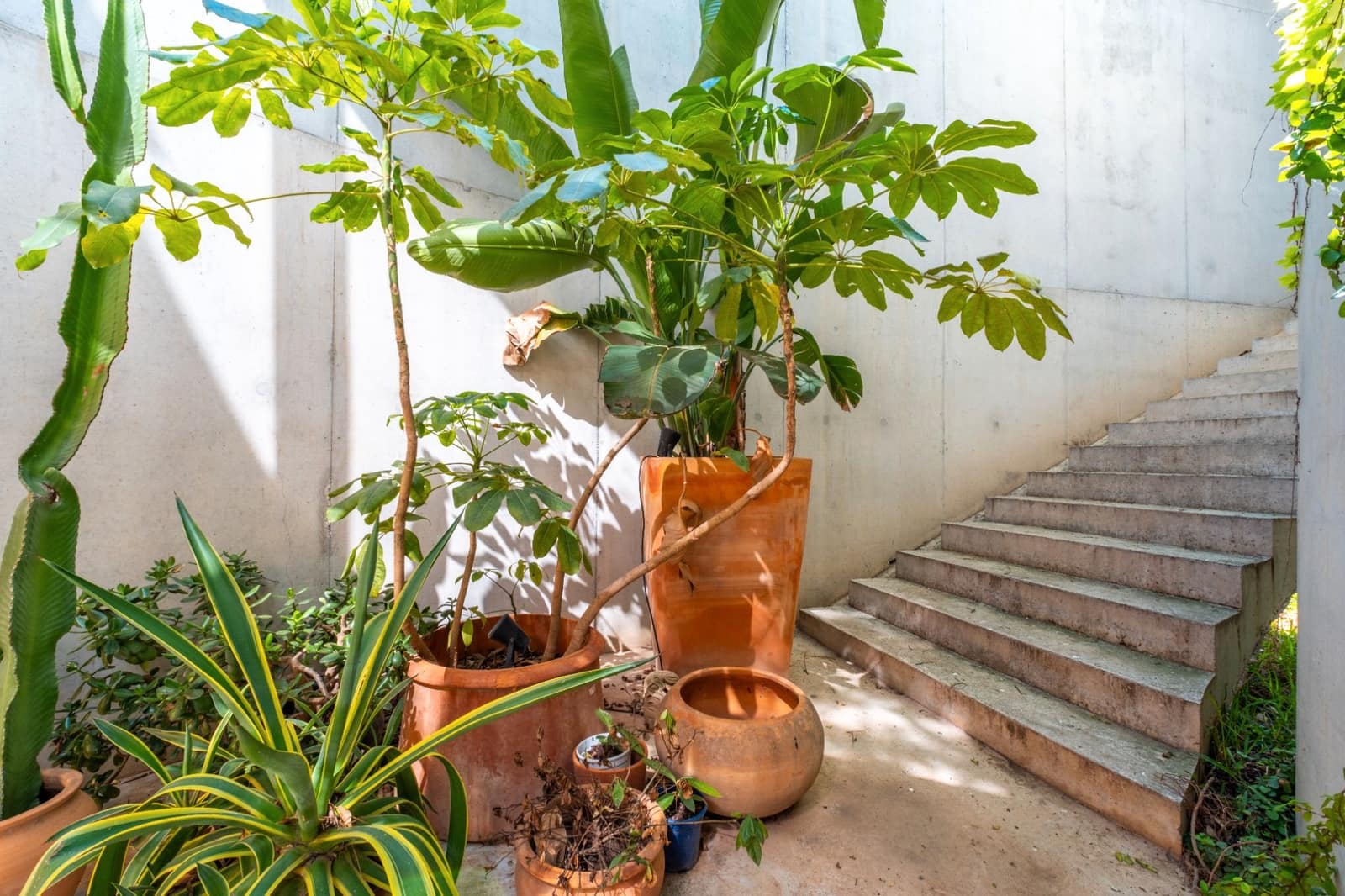 3 soveværelse Villa til salg i San Vicente / Sant Vicent del Raspeig med swimmingpool garage - € 999.000 (Ref: 8842491)