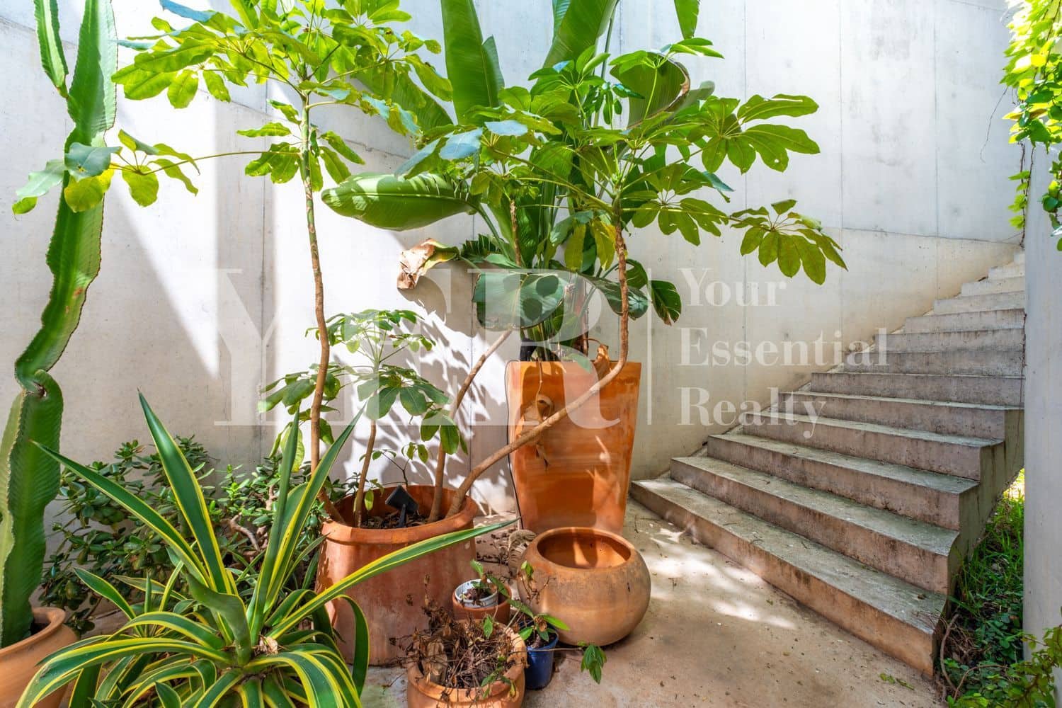 3 makuuhuone Huvila myytävänä paikassa San Vicente / Sant Vicent del Raspeig mukana uima-altaan 
autotalli - 1 150 000 € (Ref: 8842491)