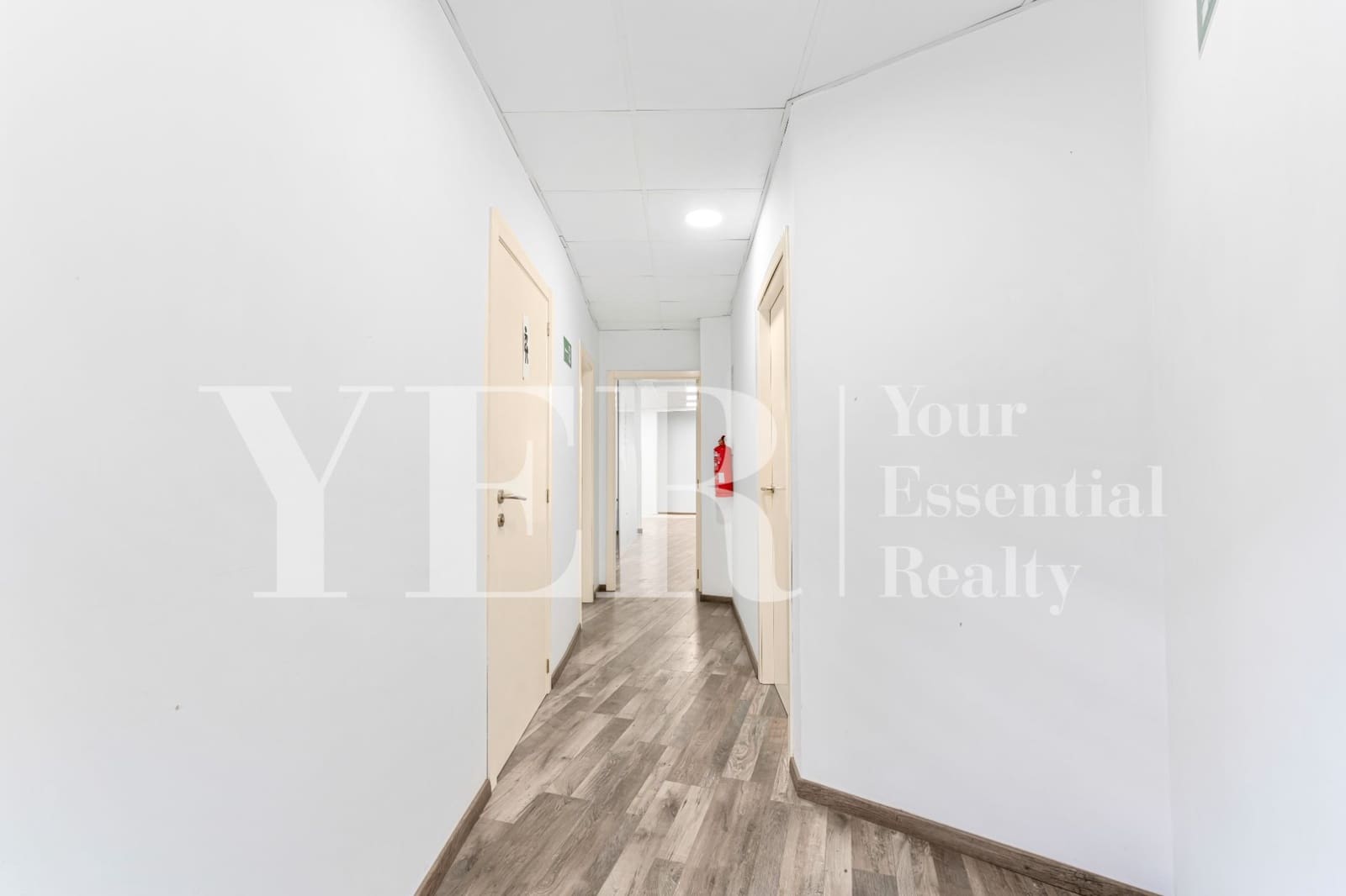 Office for rent in Alicante / Alacant city - € 1,800 (Ref: 9354243)