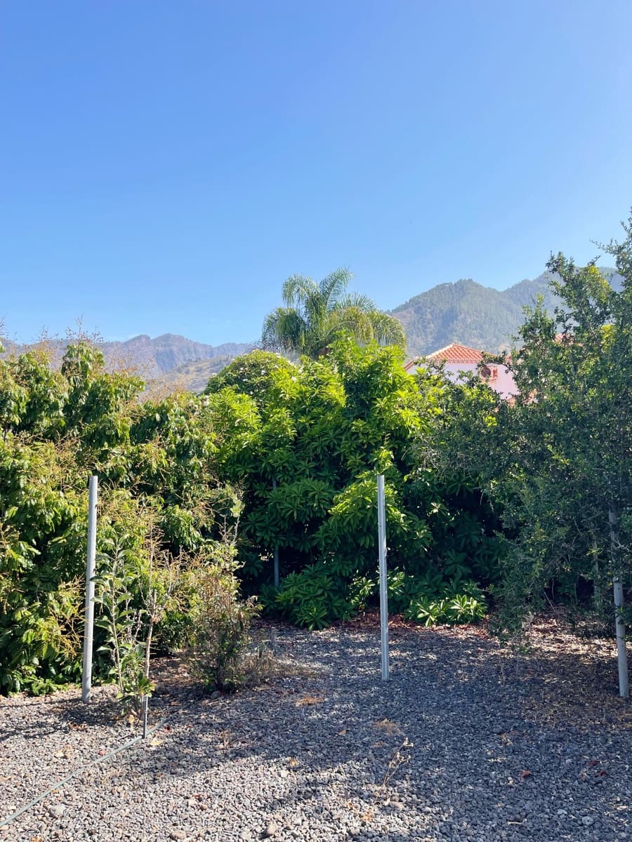 5 soveværelse Villa til salg i Los Llanos de Aridane med swimmingpool garage - € 860.000 (Ref: 9162812)