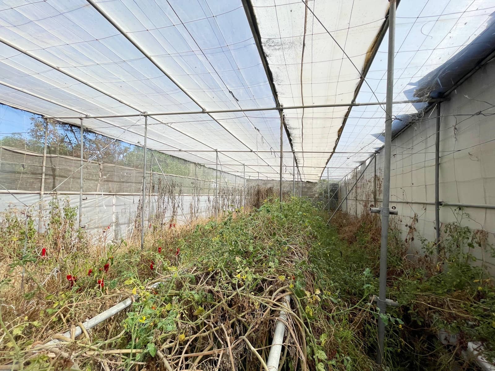 5 soveværelse Villa til salg i Los Llanos de Aridane med swimmingpool garage - € 860.000 (Ref: 9162812)