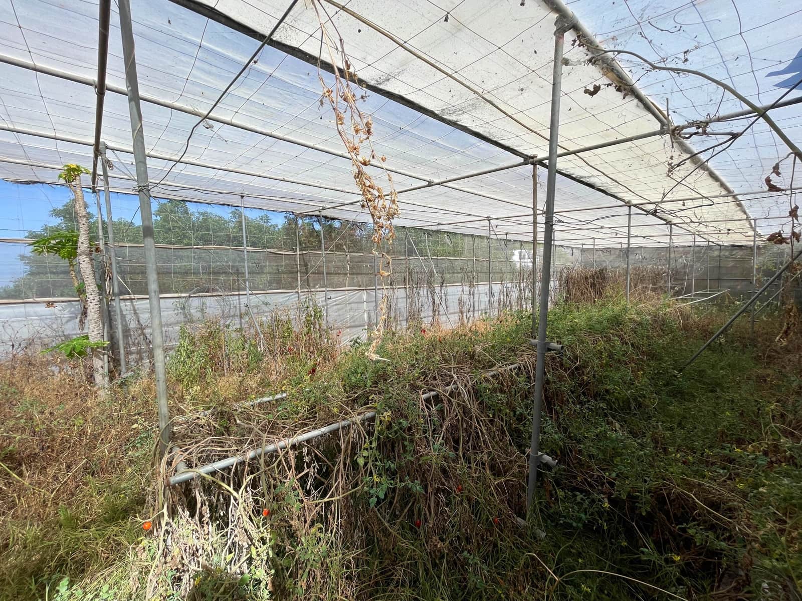 5 soveværelse Villa til salg i Los Llanos de Aridane med swimmingpool garage - € 860.000 (Ref: 9162812)