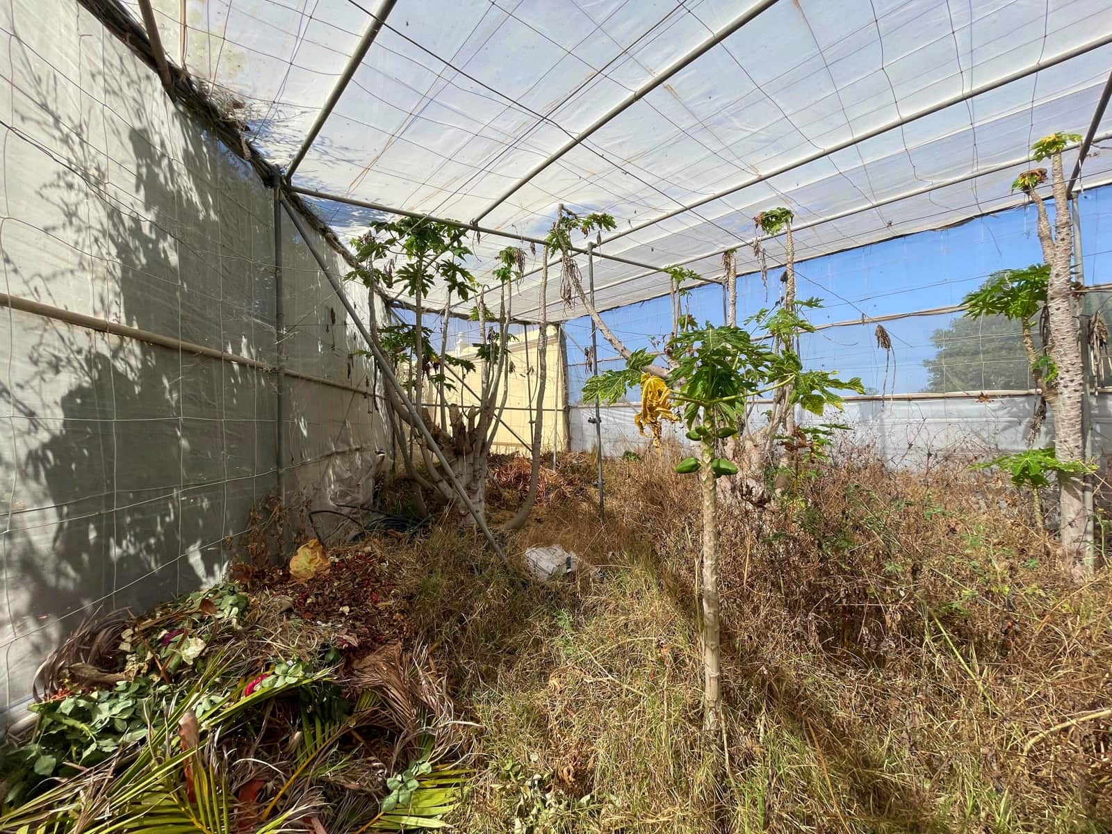 5 soveværelse Villa til salg i Los Llanos de Aridane med swimmingpool garage - € 860.000 (Ref: 9162812)