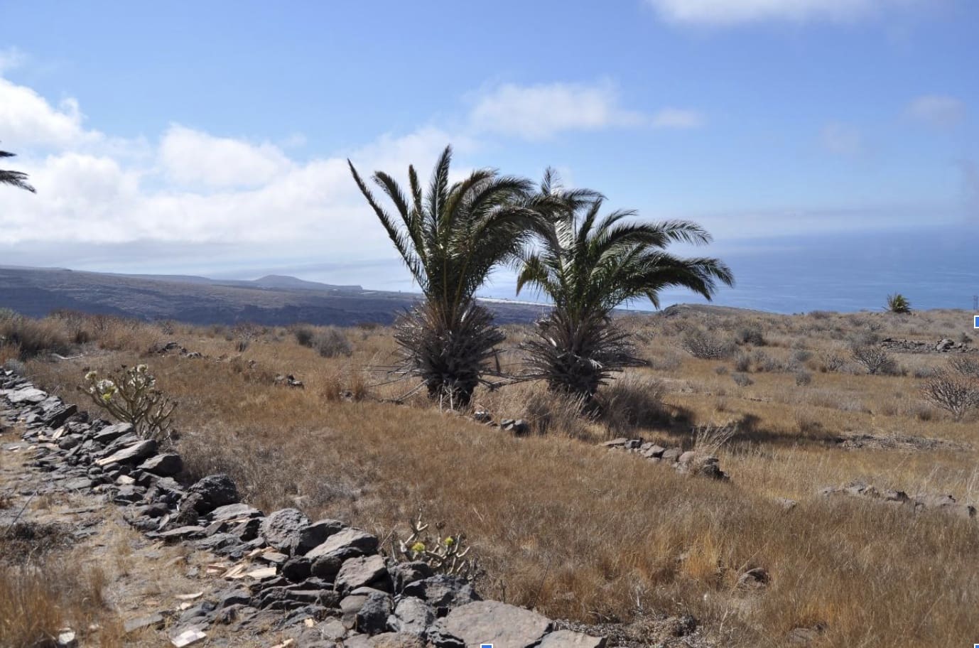 Undeveloped Land for sale in Vallehermoso - € 600,000 (Ref: 9349961)