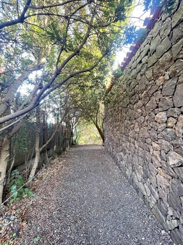 3 sypialnia Willa na sprzedaż w El Rosario z garażem - 600 000 € (Ref: 9400024)