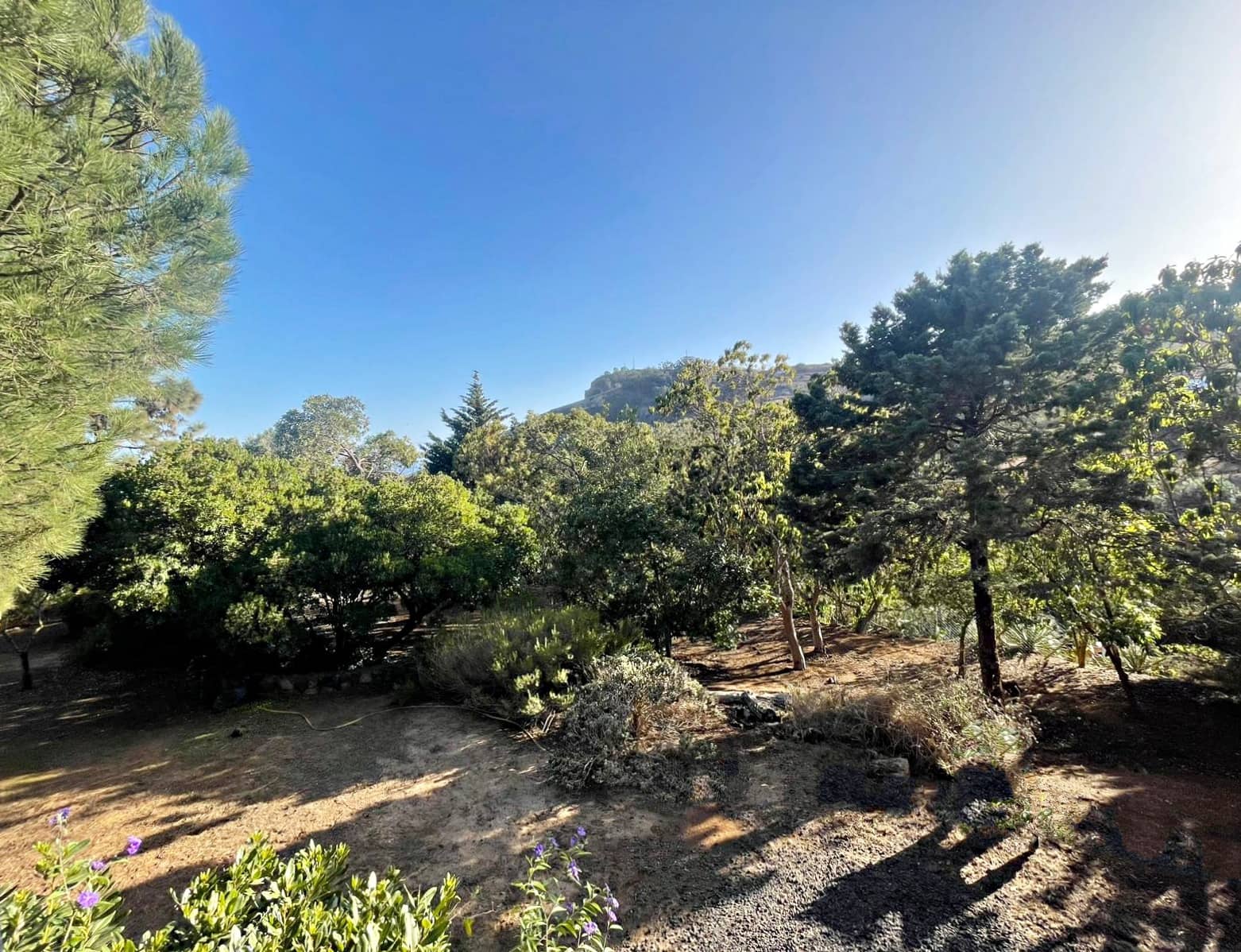 3 quarto Moradia para venda em El Rosario com garagem - 600 000 € (Ref: 9400024)