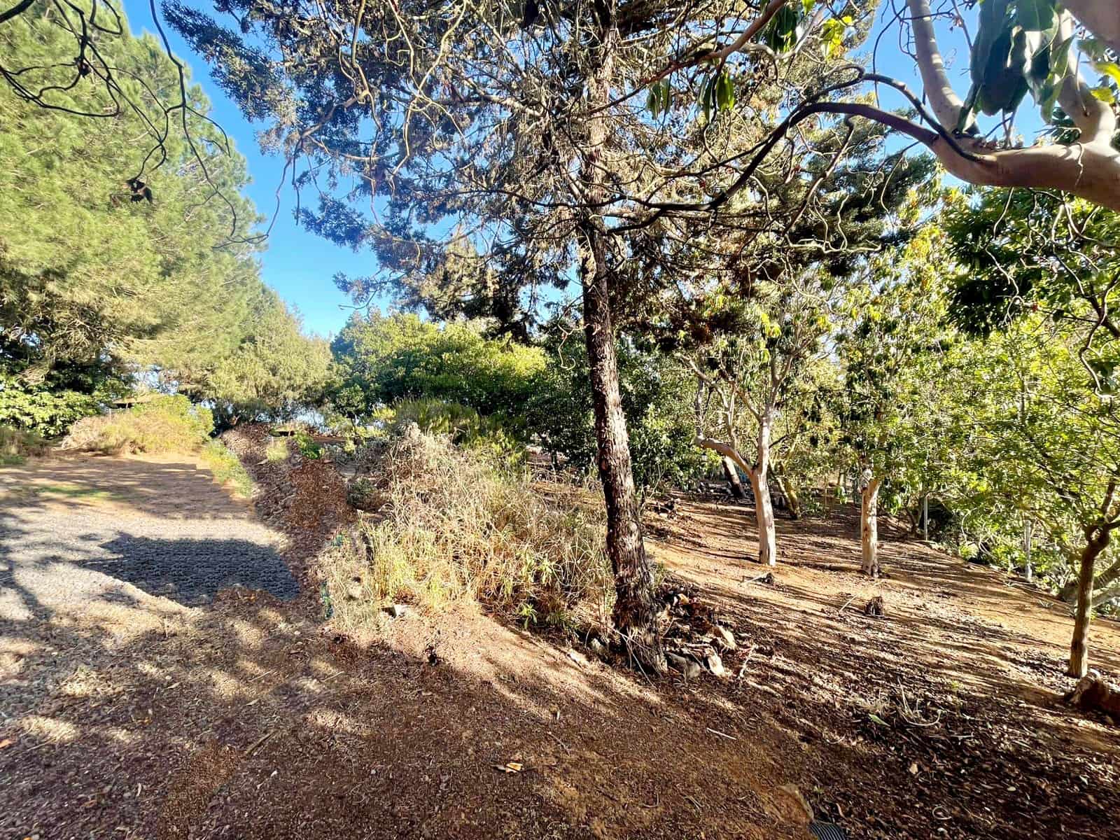 3 quarto Moradia para venda em El Rosario com garagem - 600 000 € (Ref: 9400024)